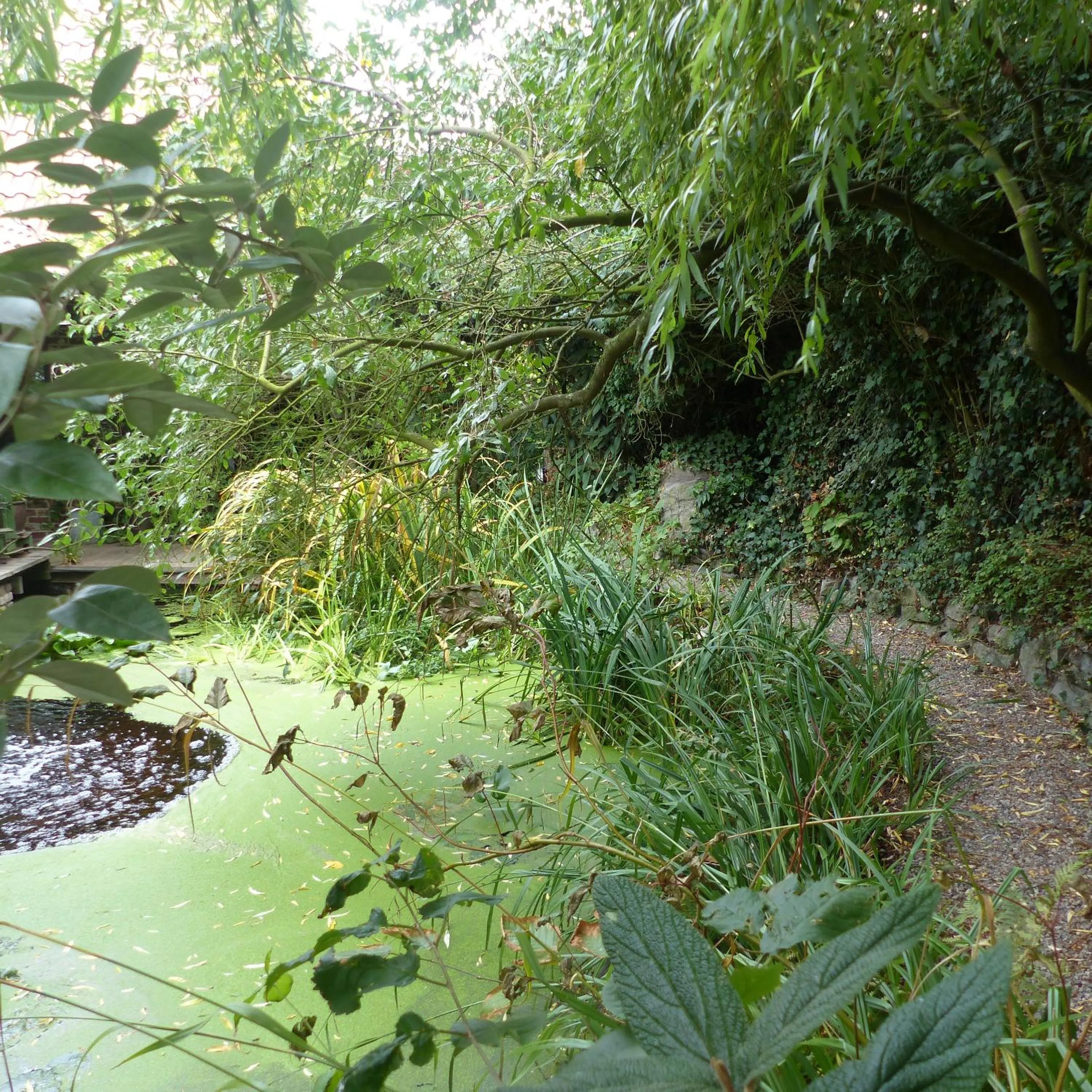 Garden view in B&B Aquavert