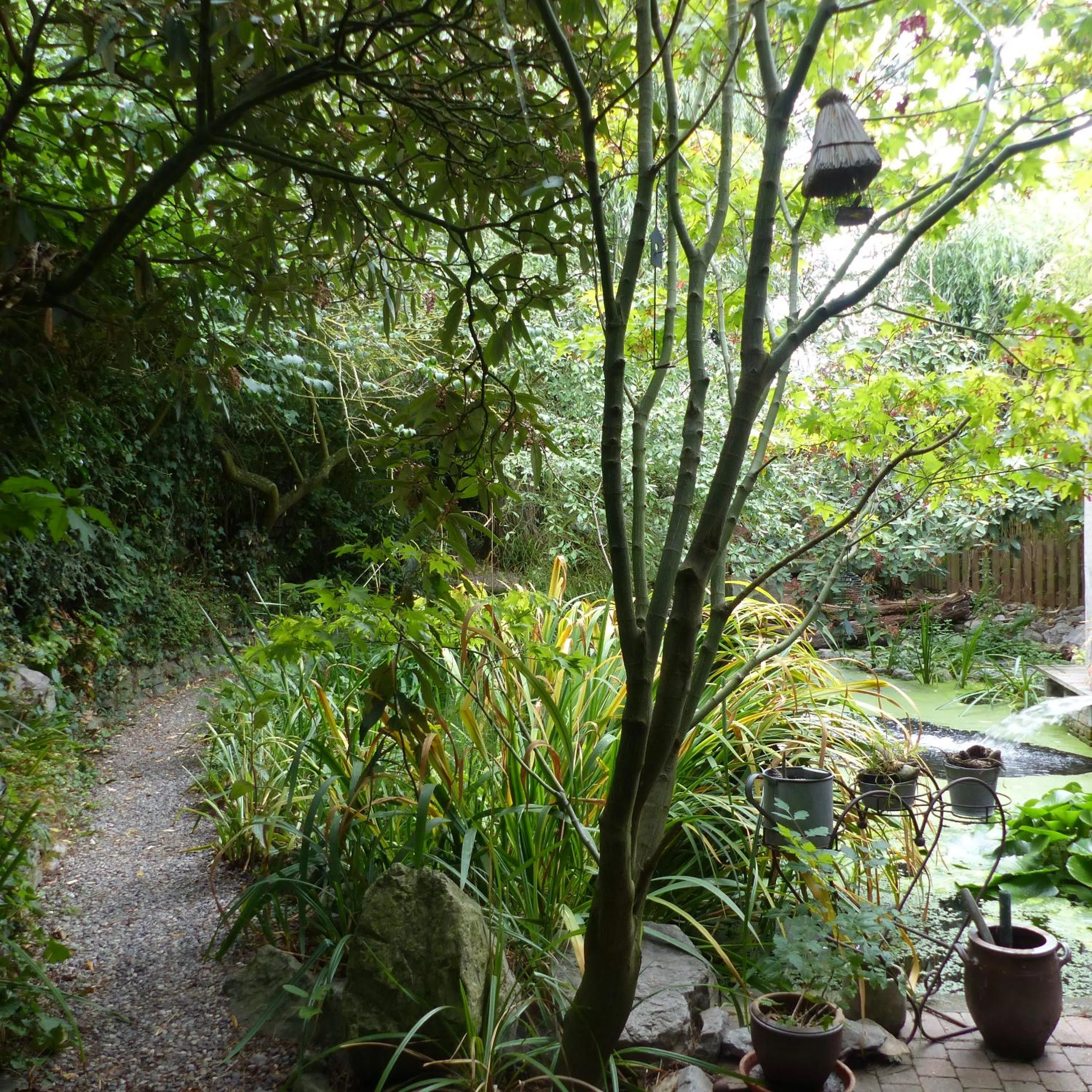 Garden view in B&B Aquavert