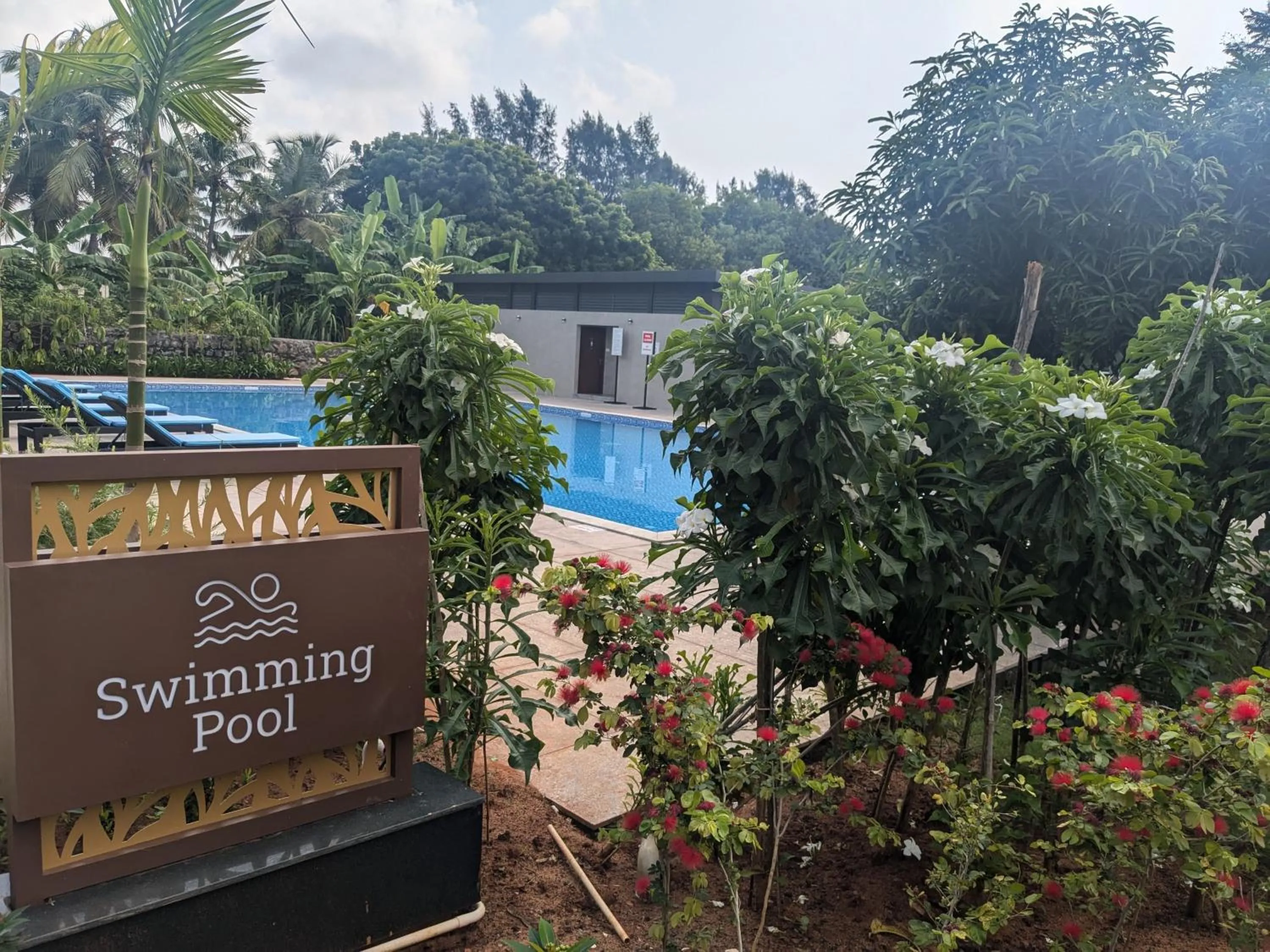 Swimming pool in Fortune Beach Resort ECR, Chennai - Member ITC Hotels' Group