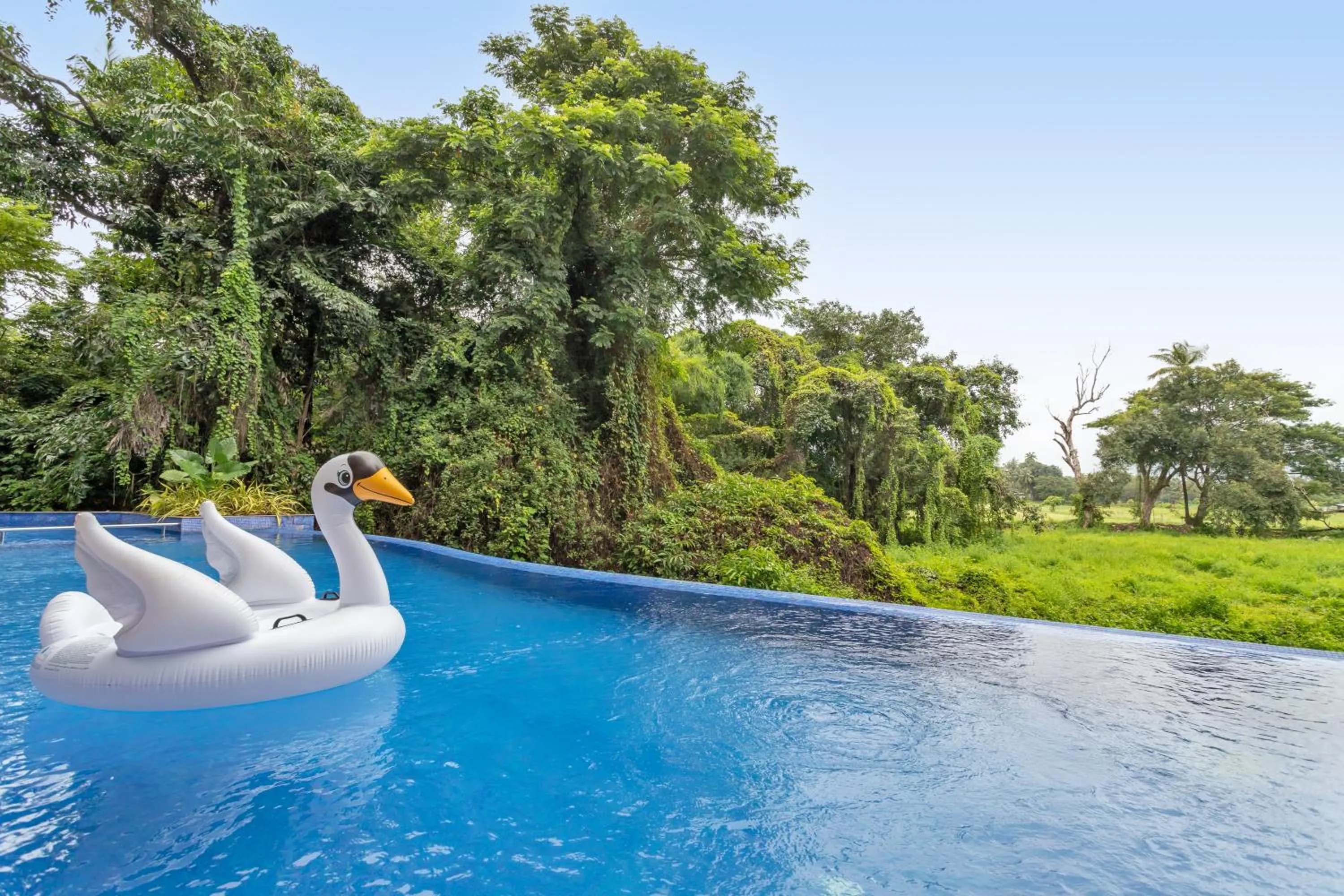 Swimming pool in D'Retreat 1BHK Apartment by tisyastays