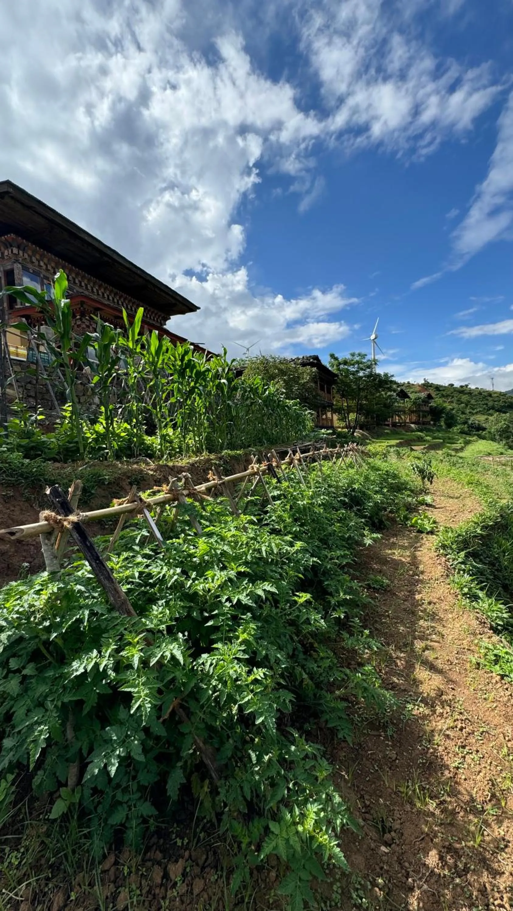 Garden in Wangdue Ecolodge