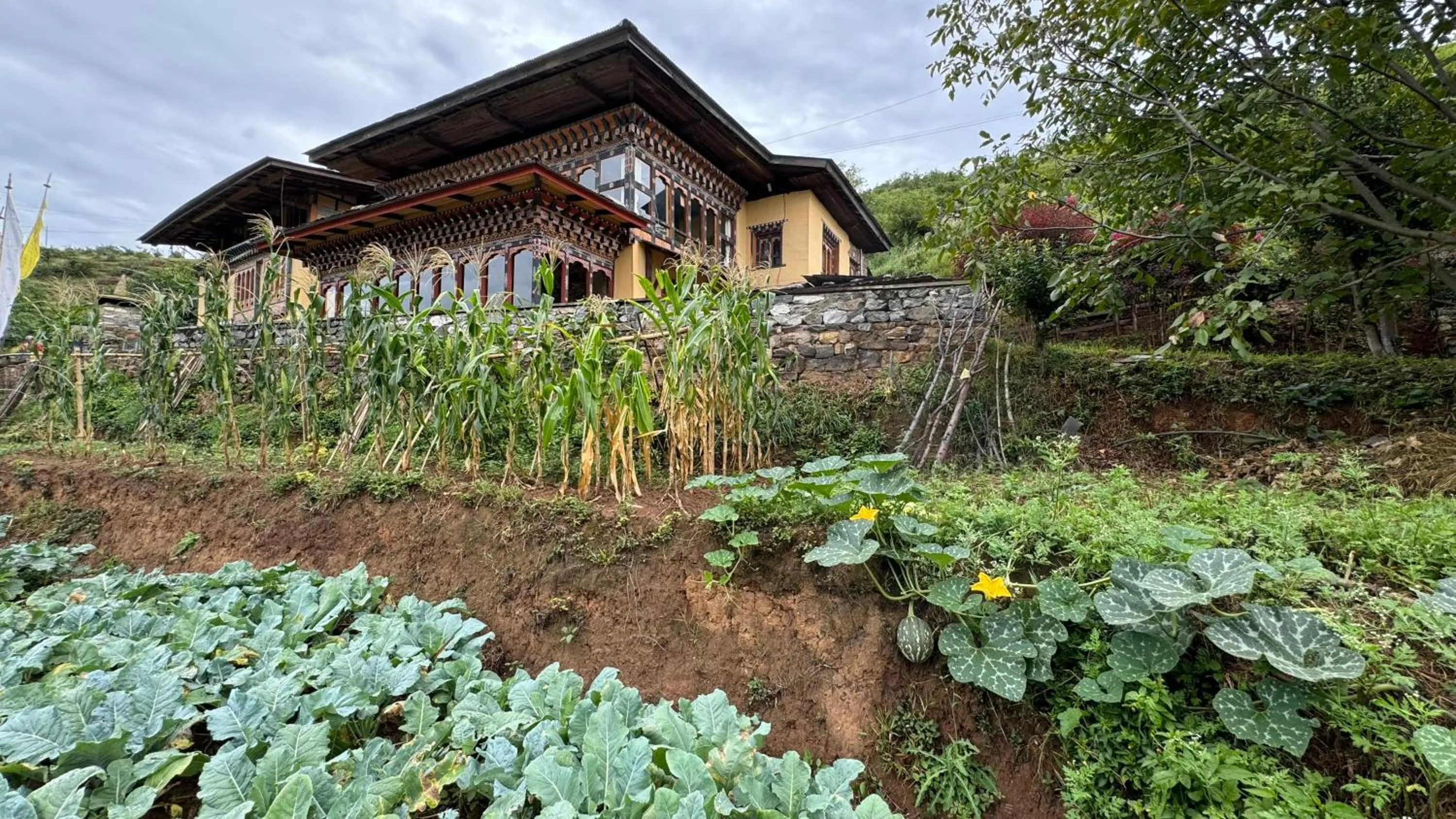 Property building in Wangdue Ecolodge