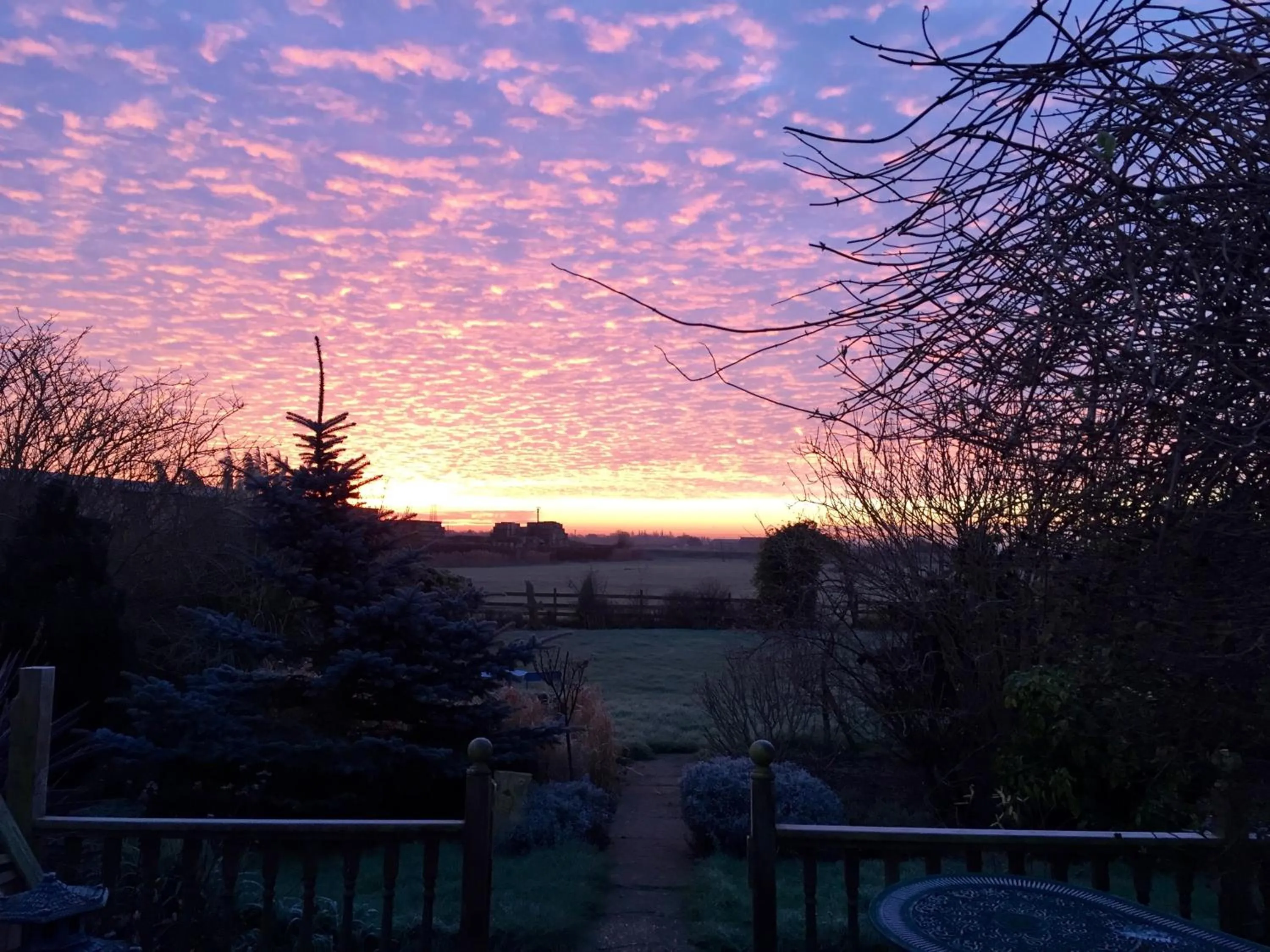 Natural landscape in Fourwinds B&B