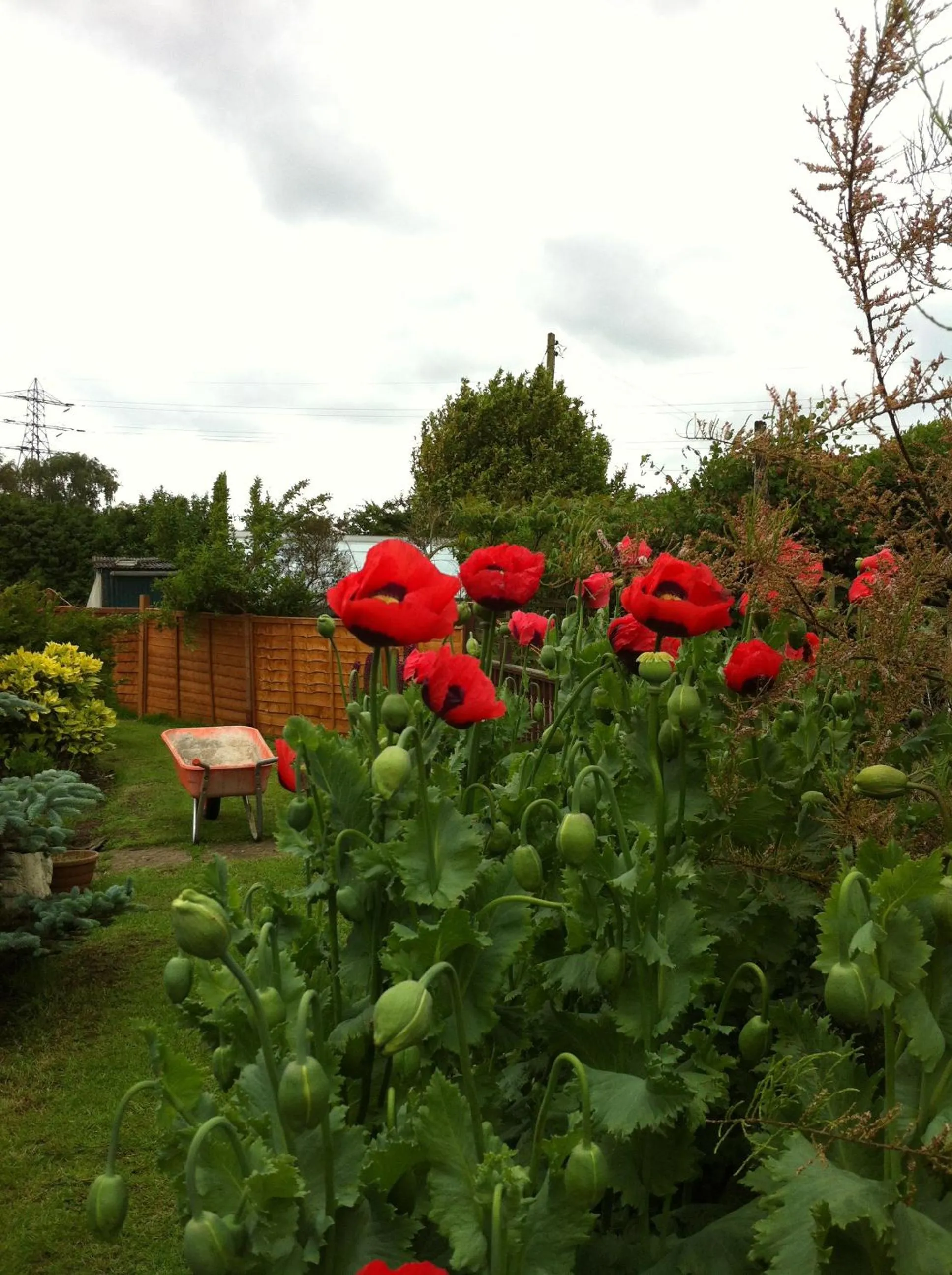 Summer in Fourwinds B&B