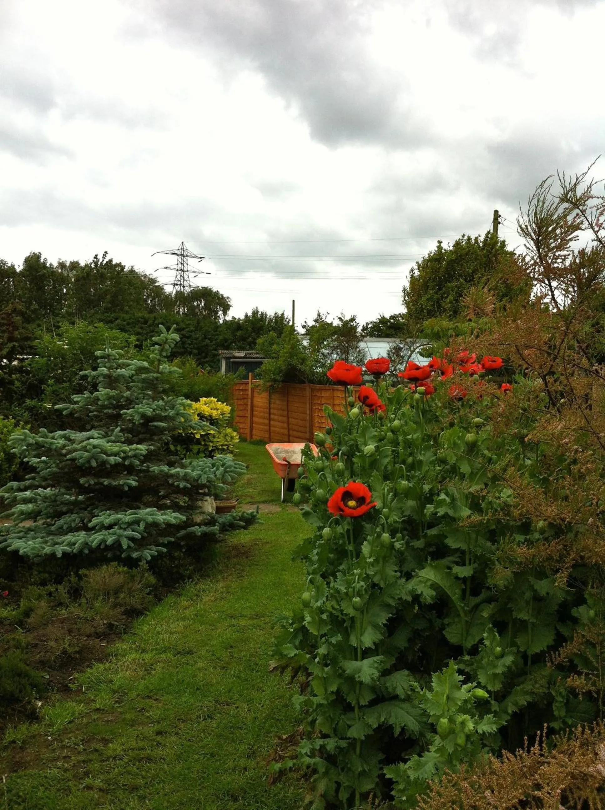 Natural landscape in Fourwinds B&B