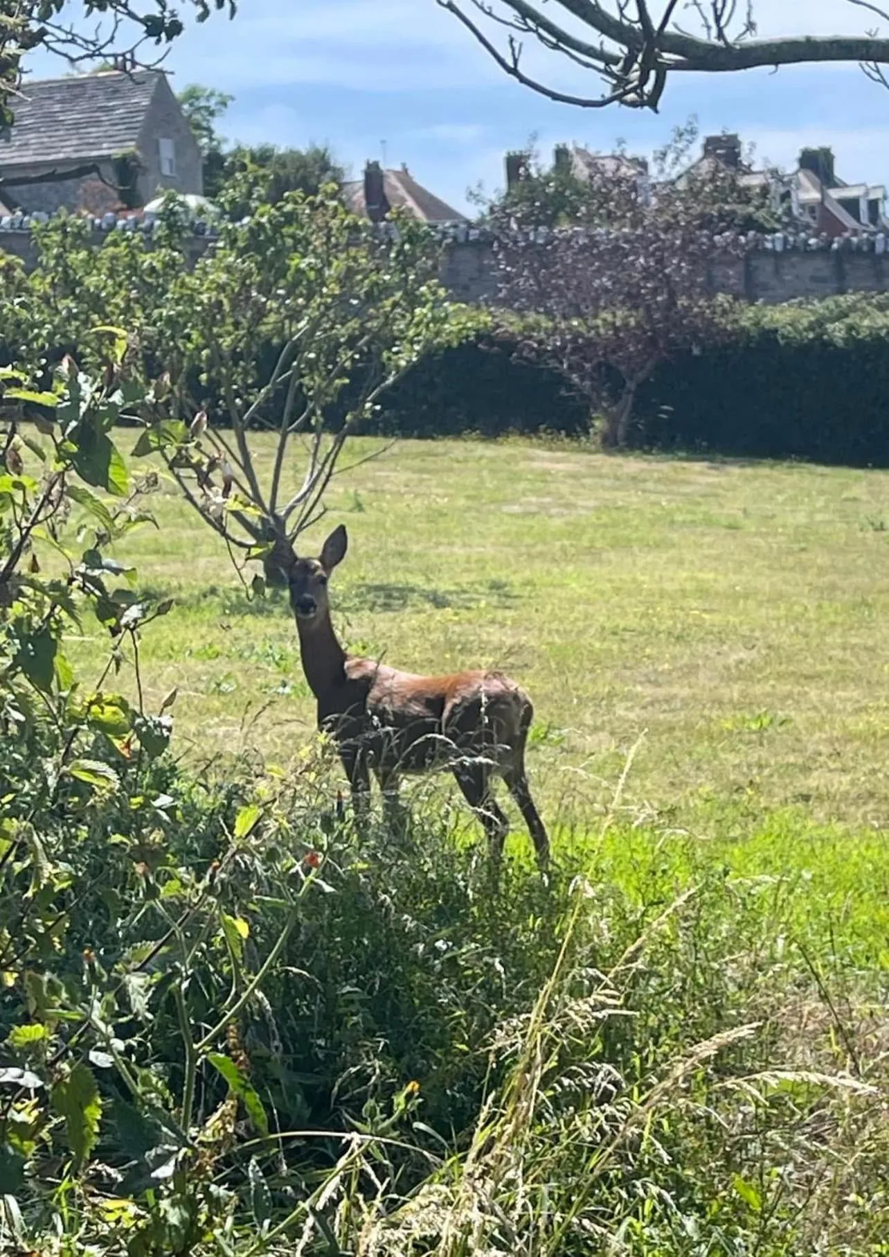 Purbeck House Hotel & Louisa Lodge