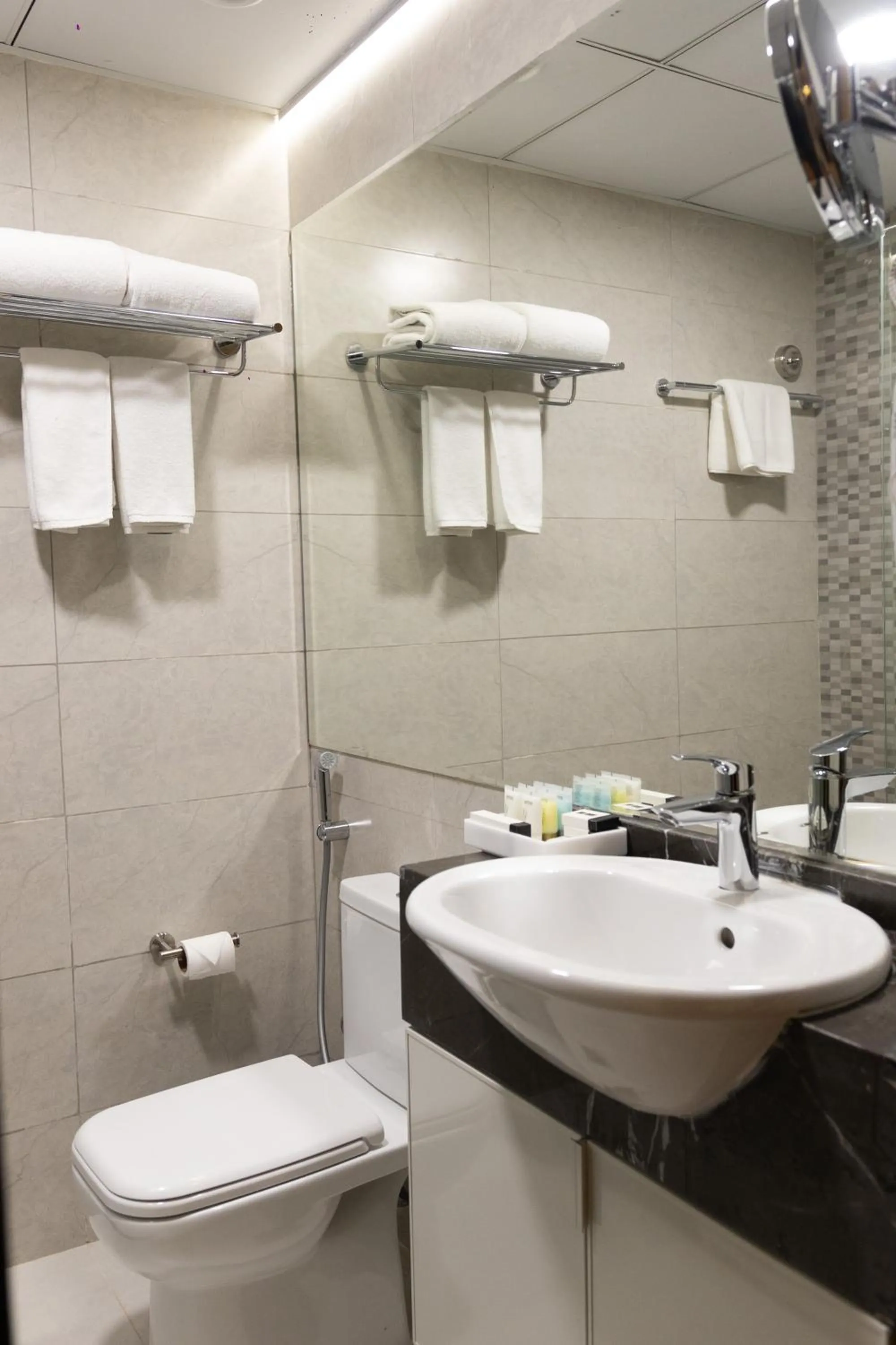 Toilet in Vendome Plaza Hotel