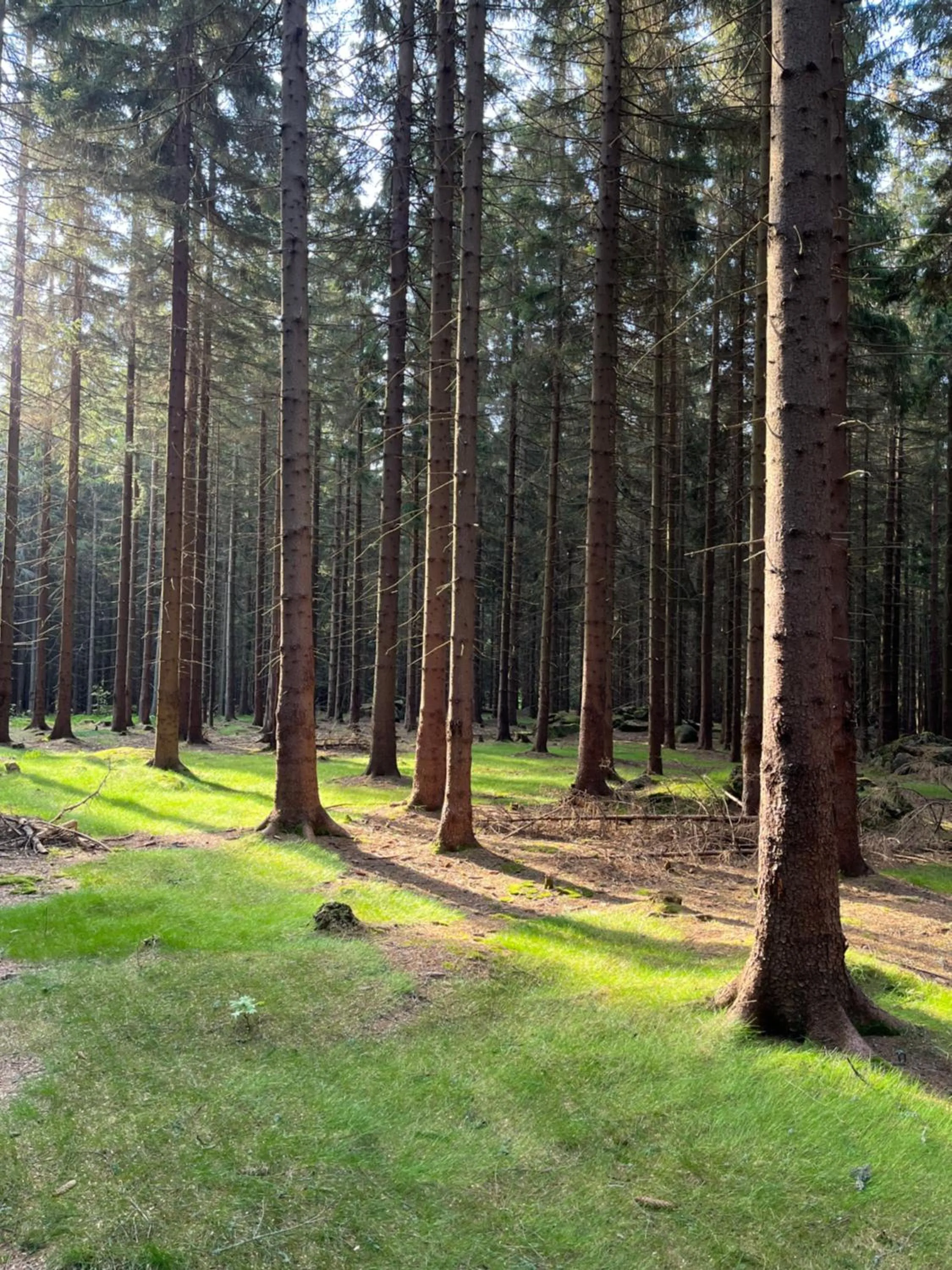 Nearby landmark in Amantis Vital Sport Hotel