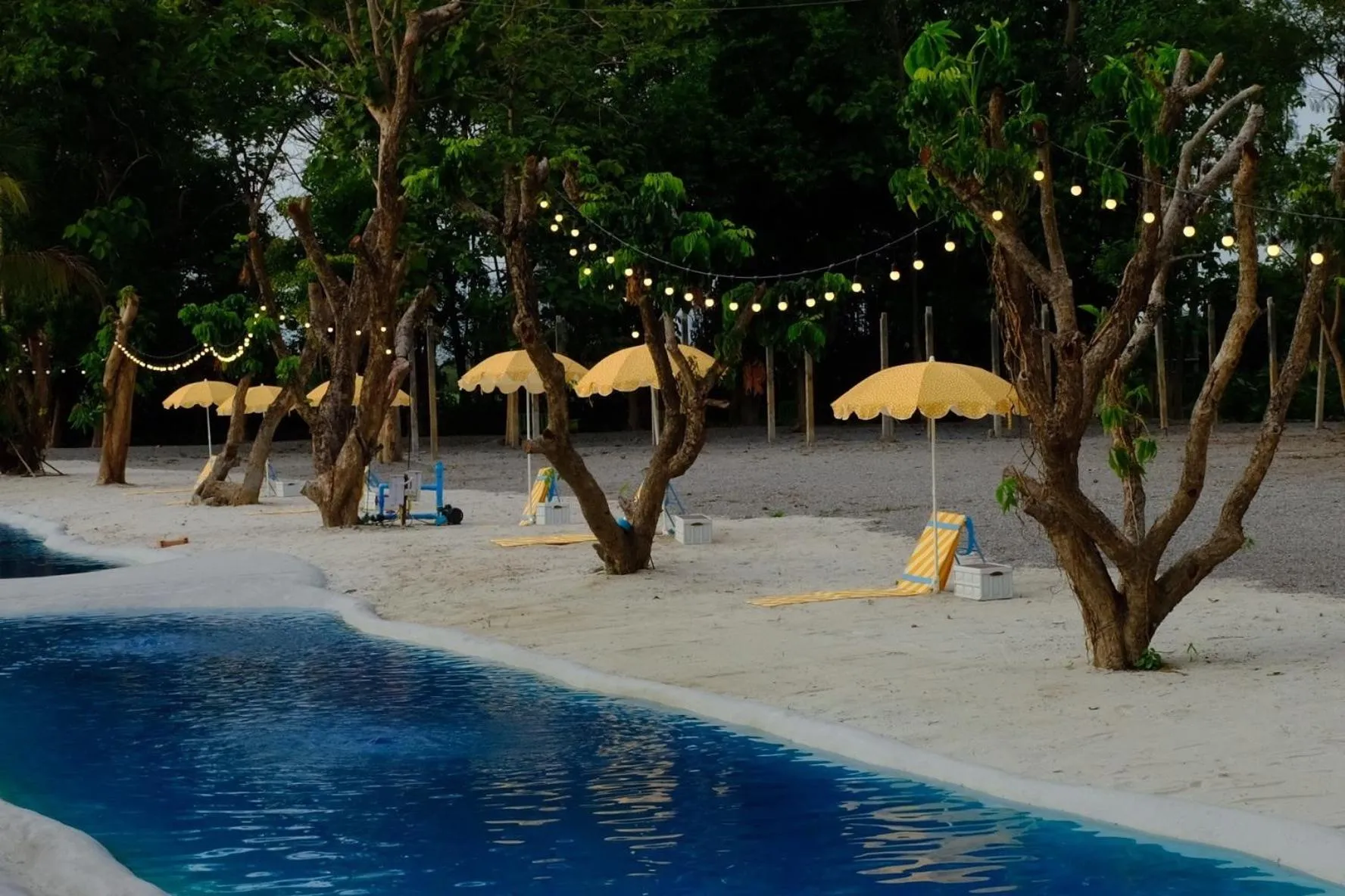 Waste Land Homestay & Resort Chiangmai