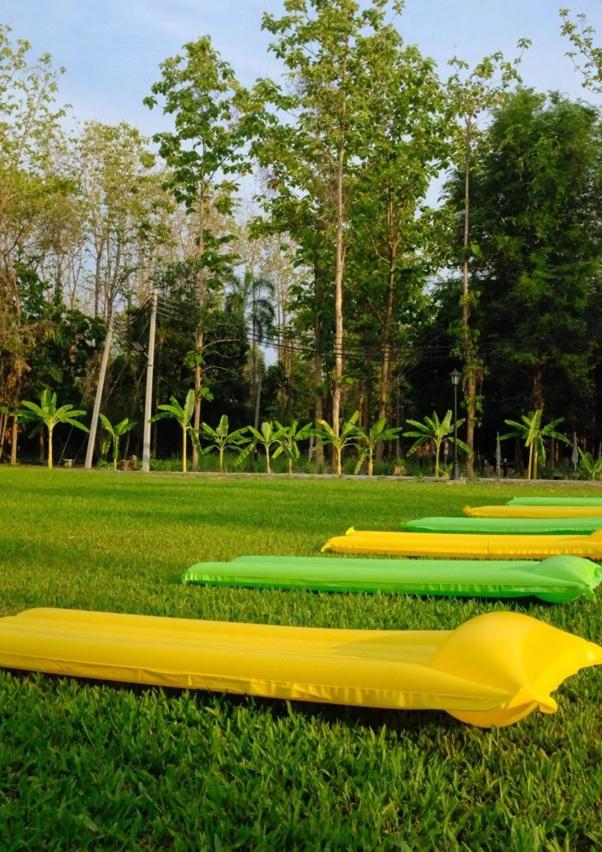 Waste Land Homestay & Resort Chiangmai