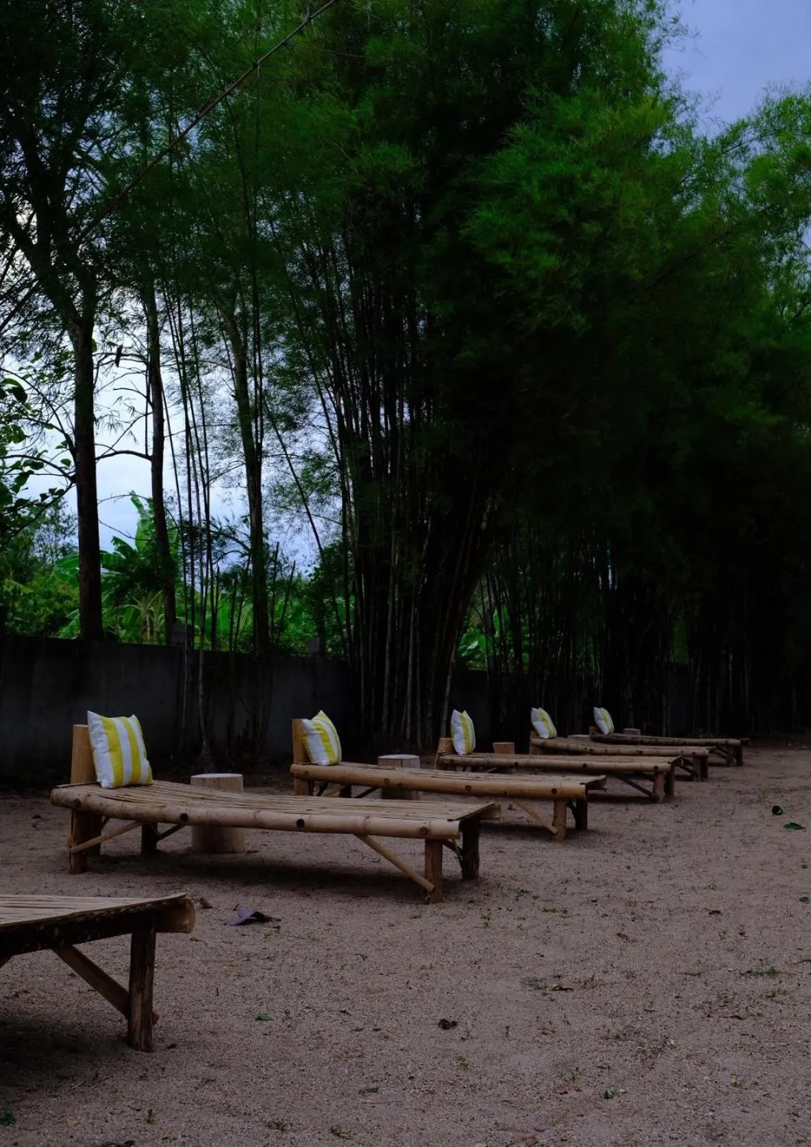 Waste Land Homestay & Resort Chiangmai