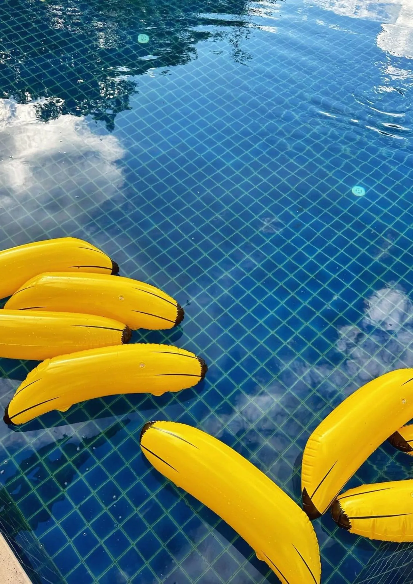 Waste Land Homestay & Resort Chiangmai