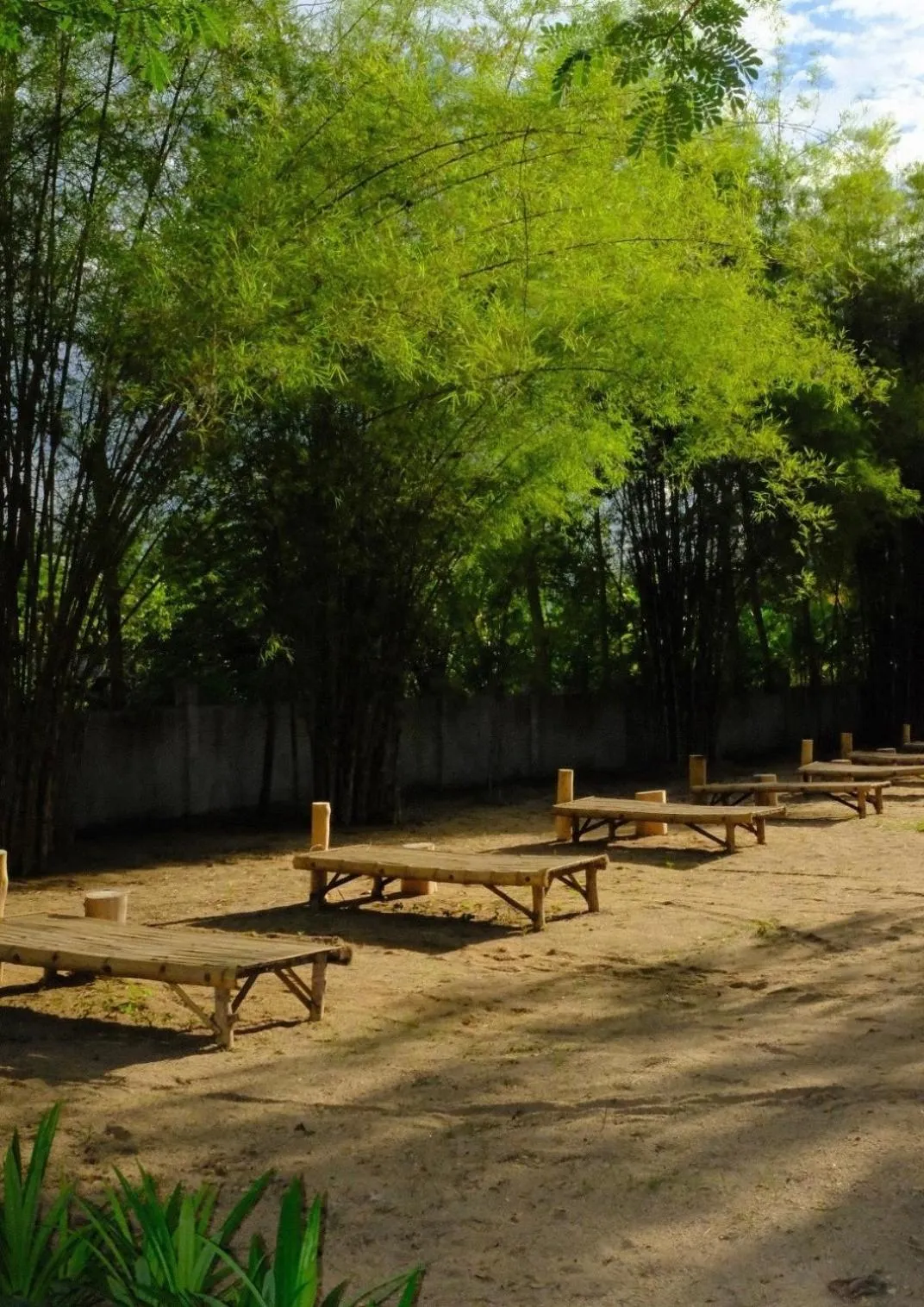 Waste Land Homestay & Resort Chiangmai