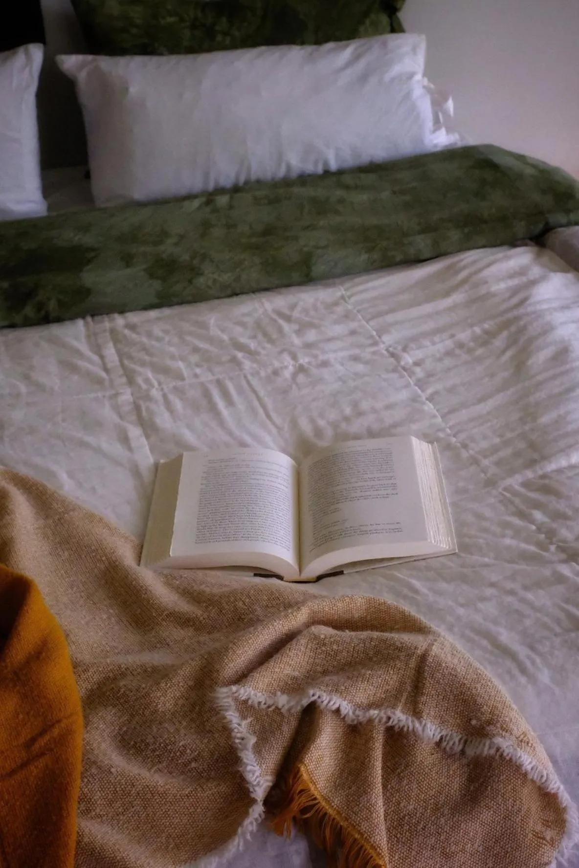 Waste Land Homestay & Resort Chiangmai