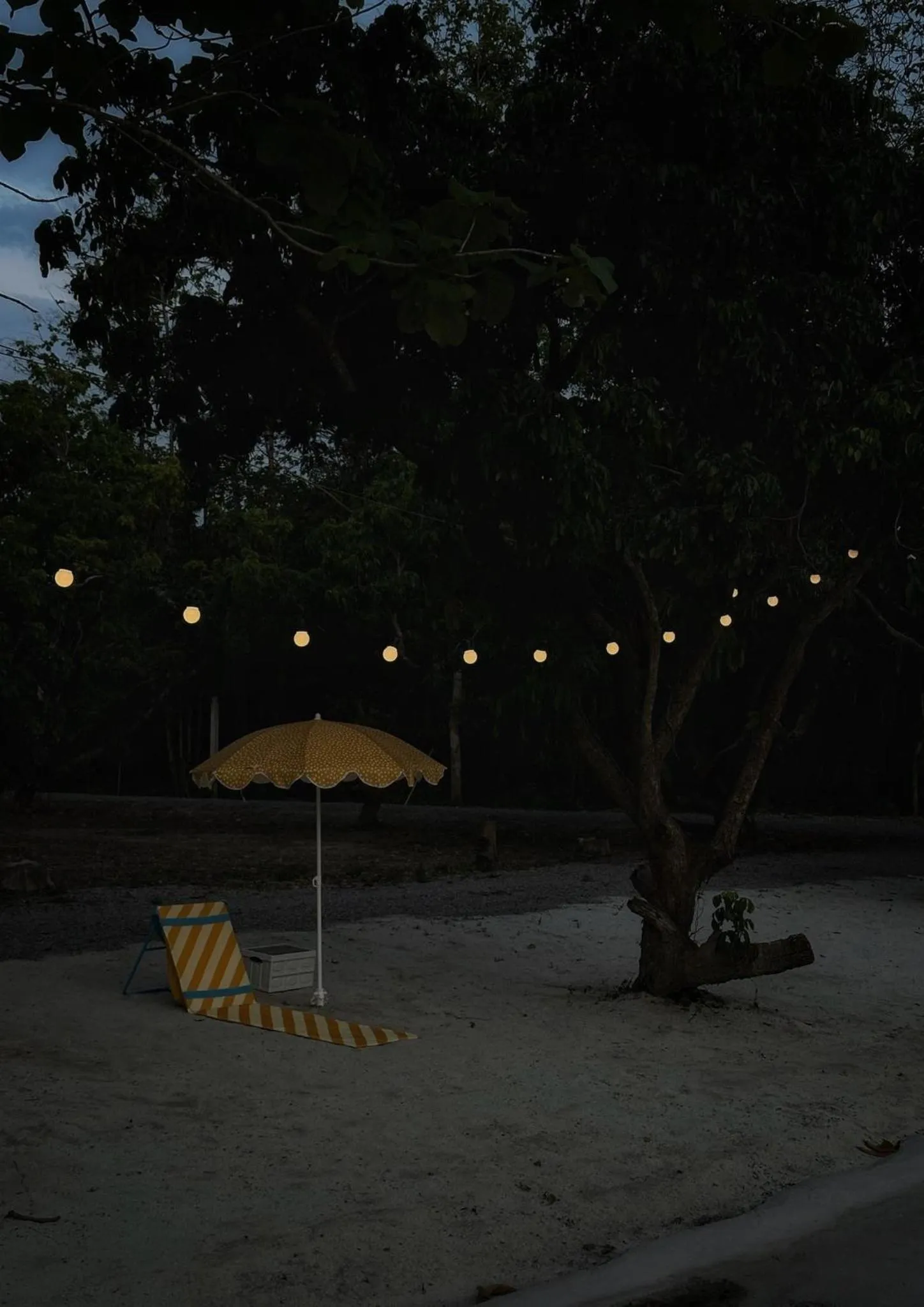 Waste Land Homestay & Resort Chiangmai