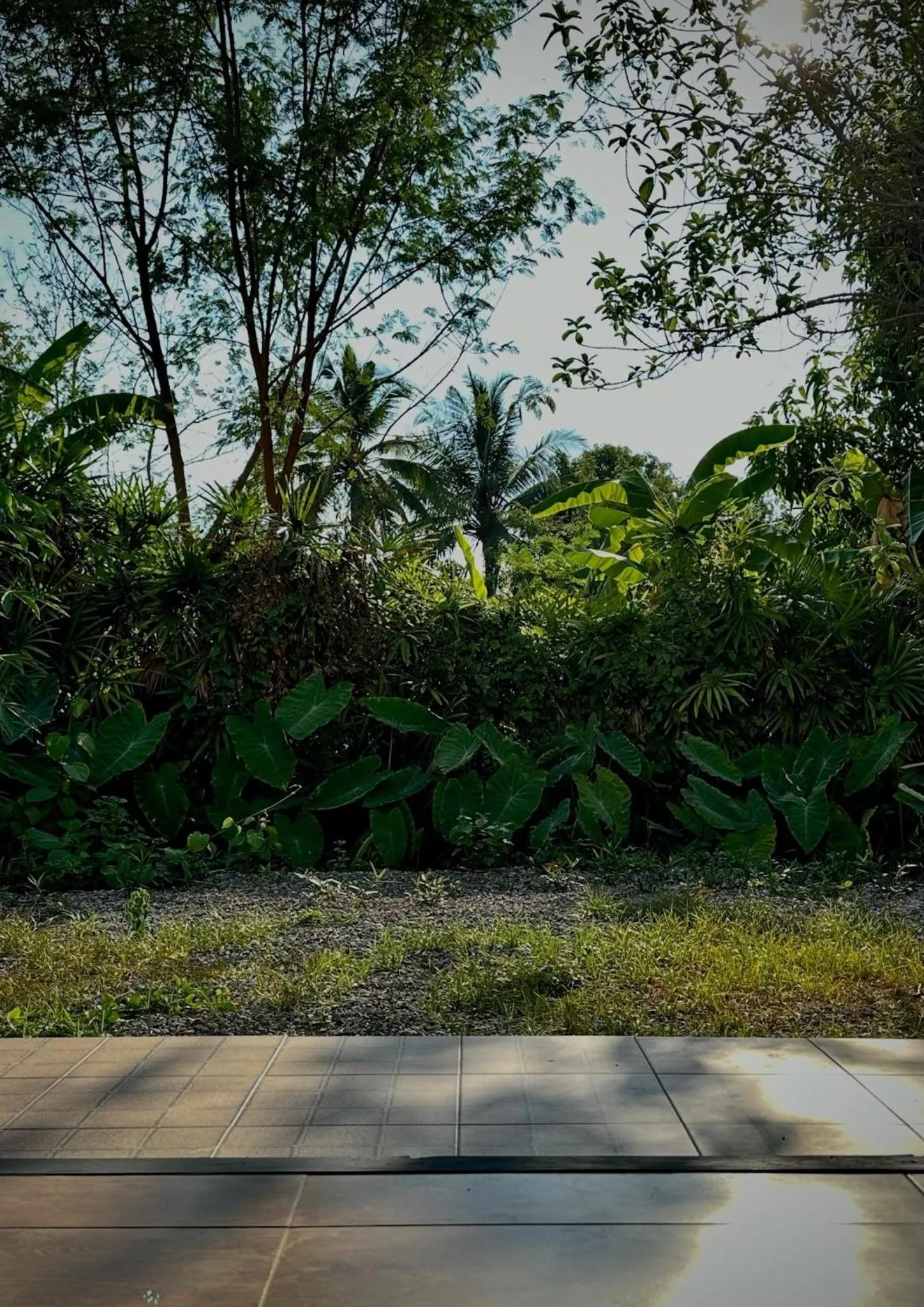 Waste Land Homestay & Resort Chiangmai