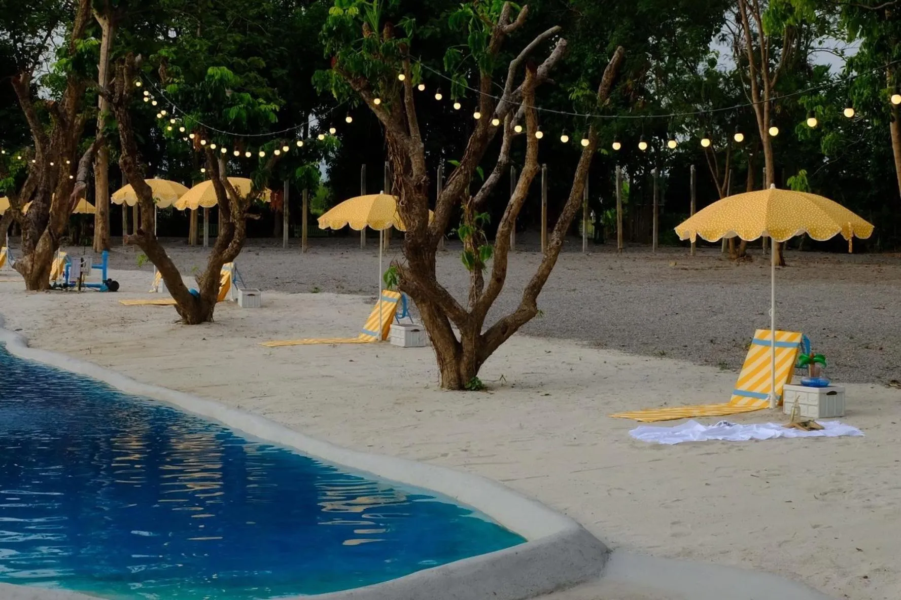 Waste Land Homestay & Resort Chiangmai