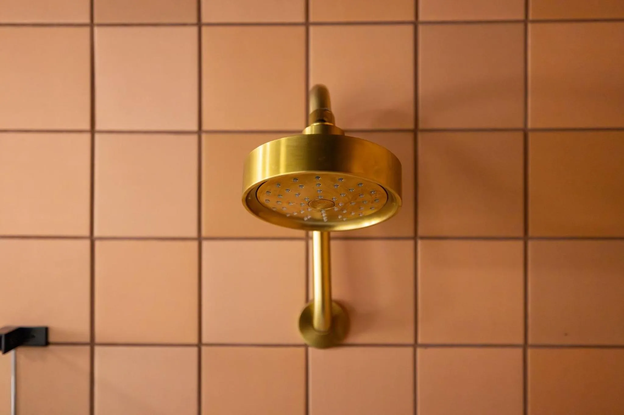 Shower in Arka Motel