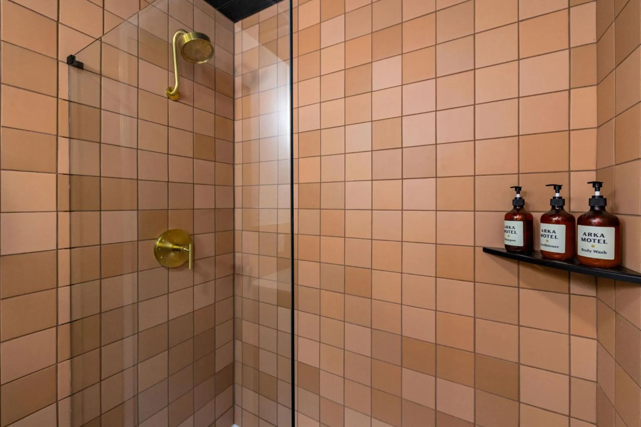 Shower in Arka Motel