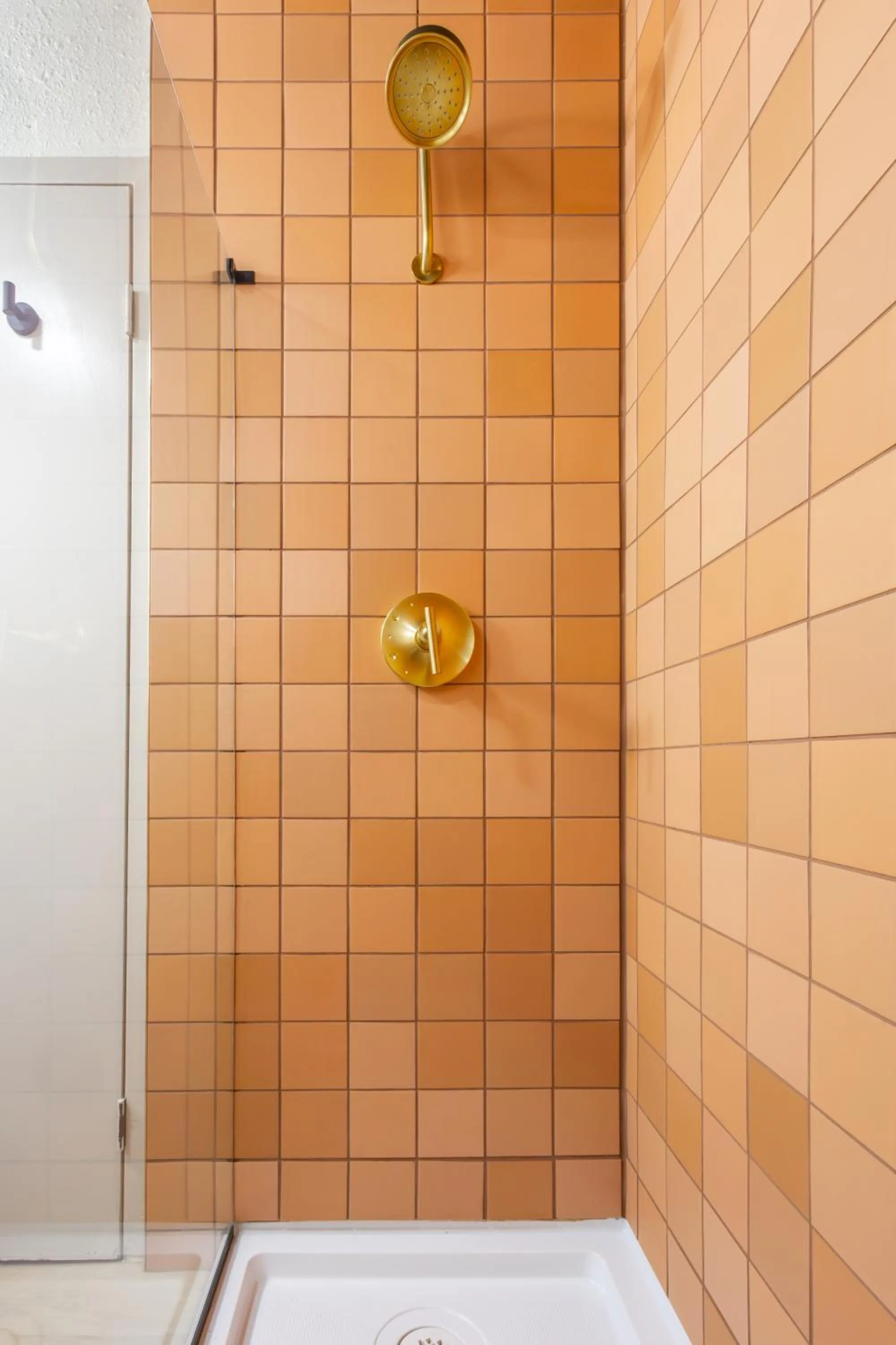 Shower in Arka Motel