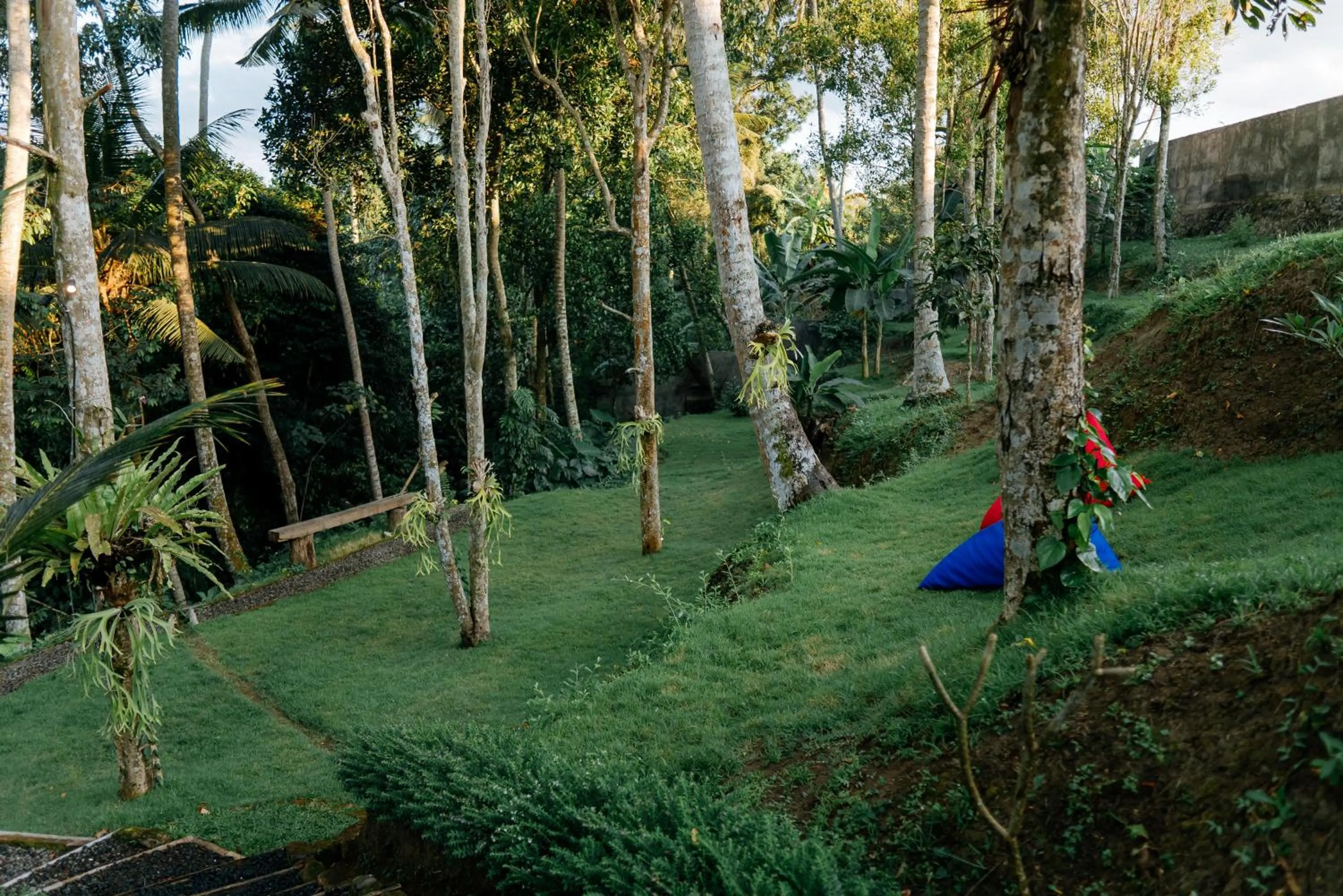 Natural landscape in Bali Made Escape