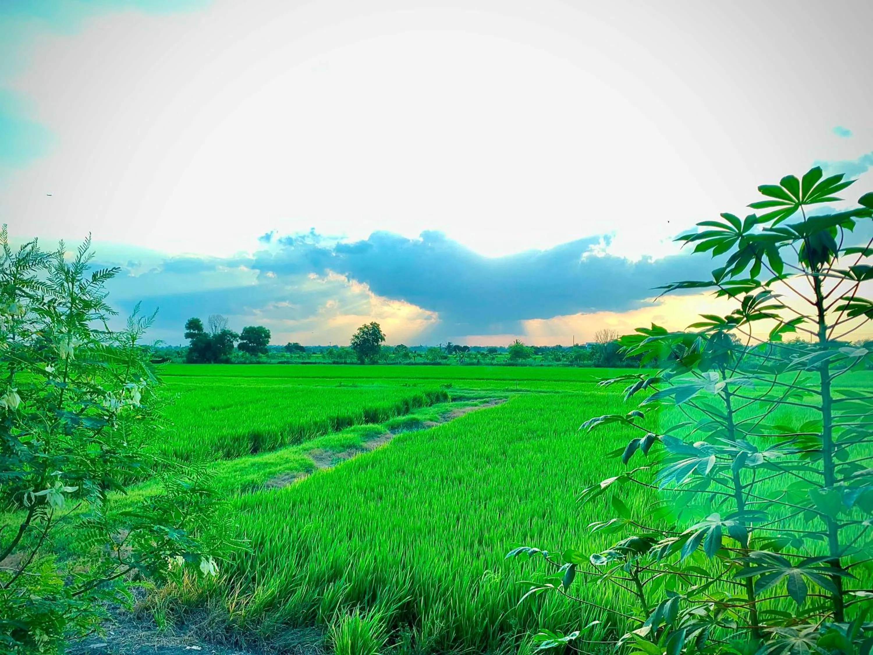 Other in Chai Na Resort