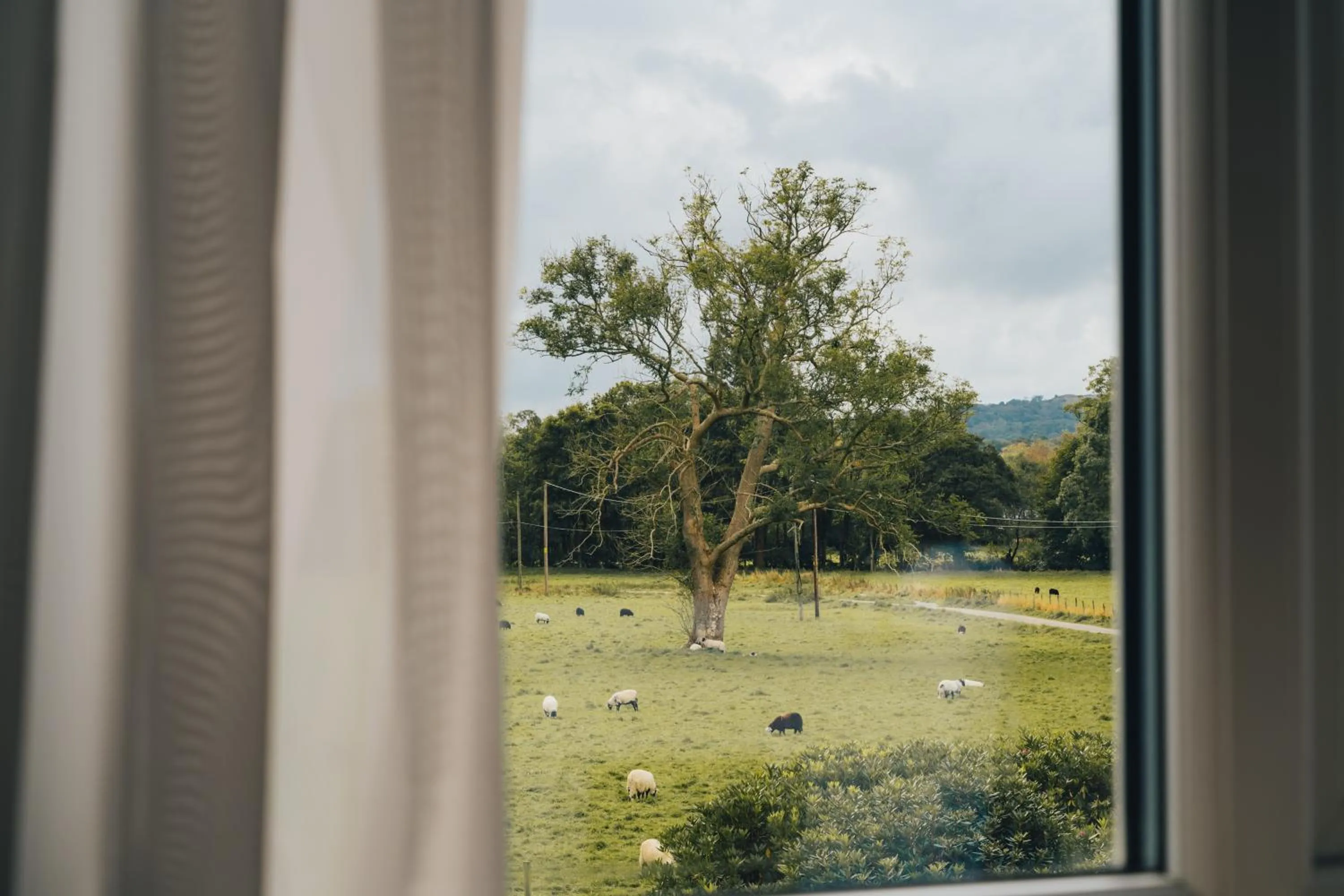 View (from property/room) in The Coniston Inn - The Inn Collection Group