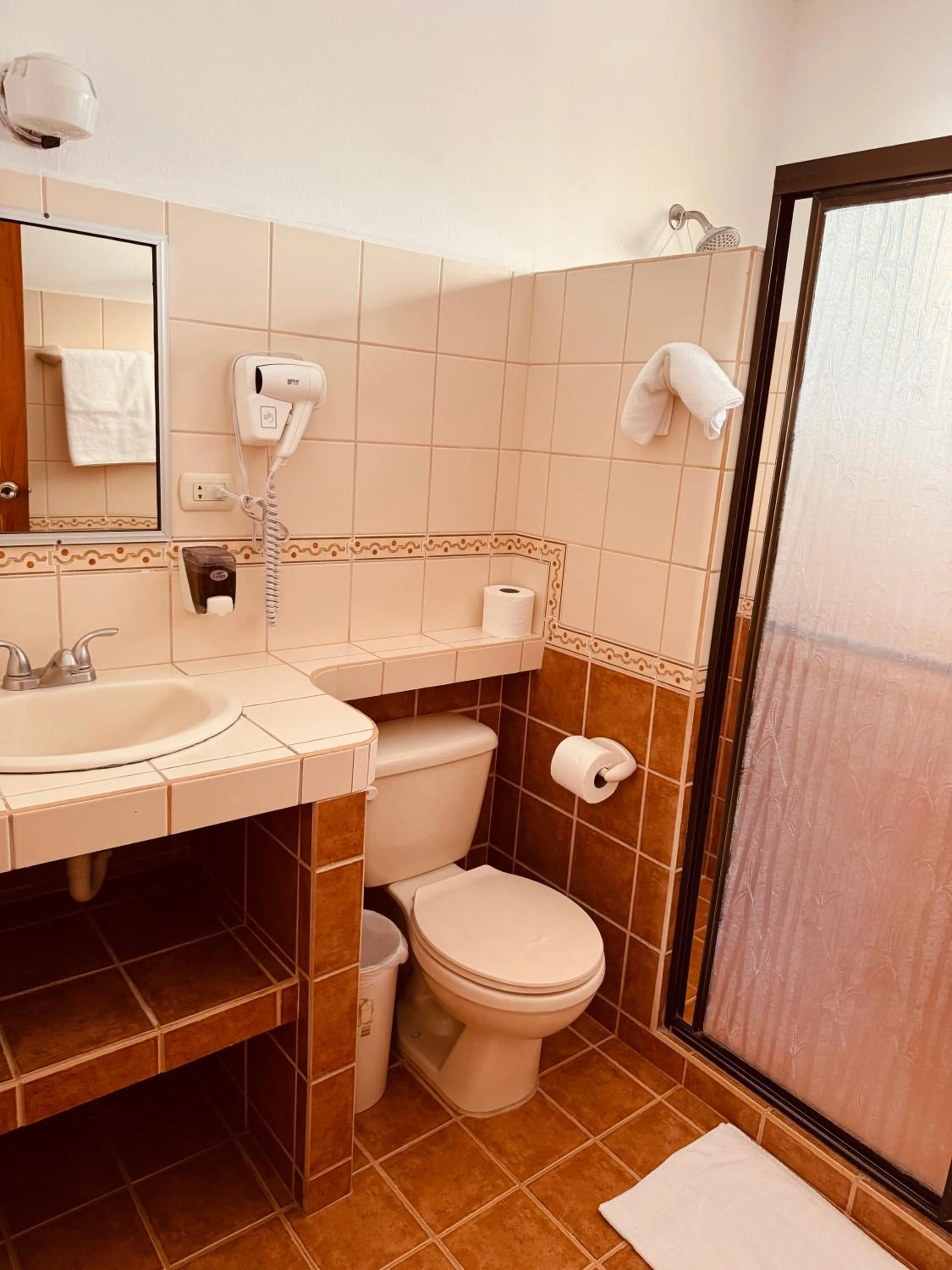 hair dryier in Apartotel Flamboyant