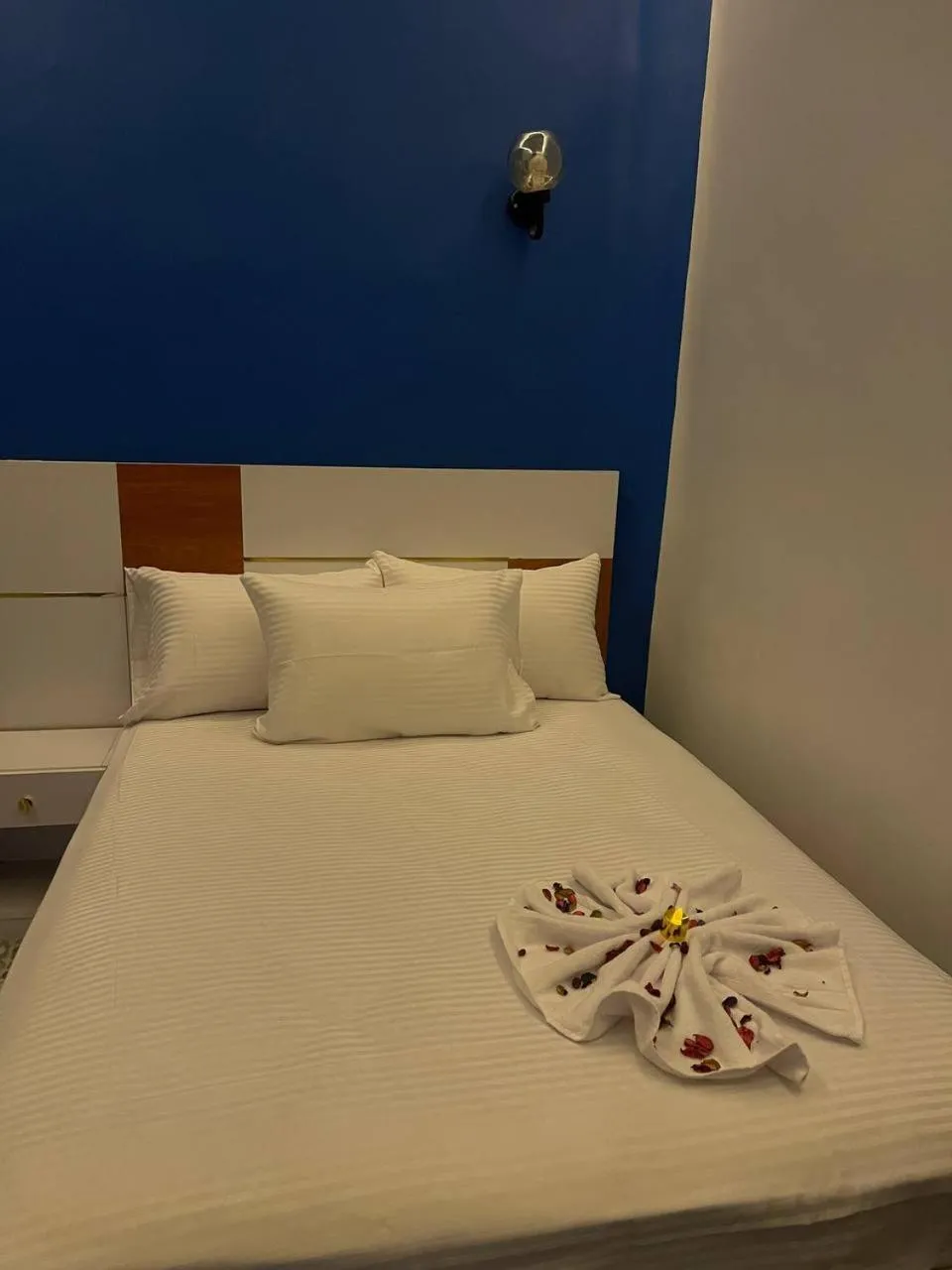 Bed in Future Hostel