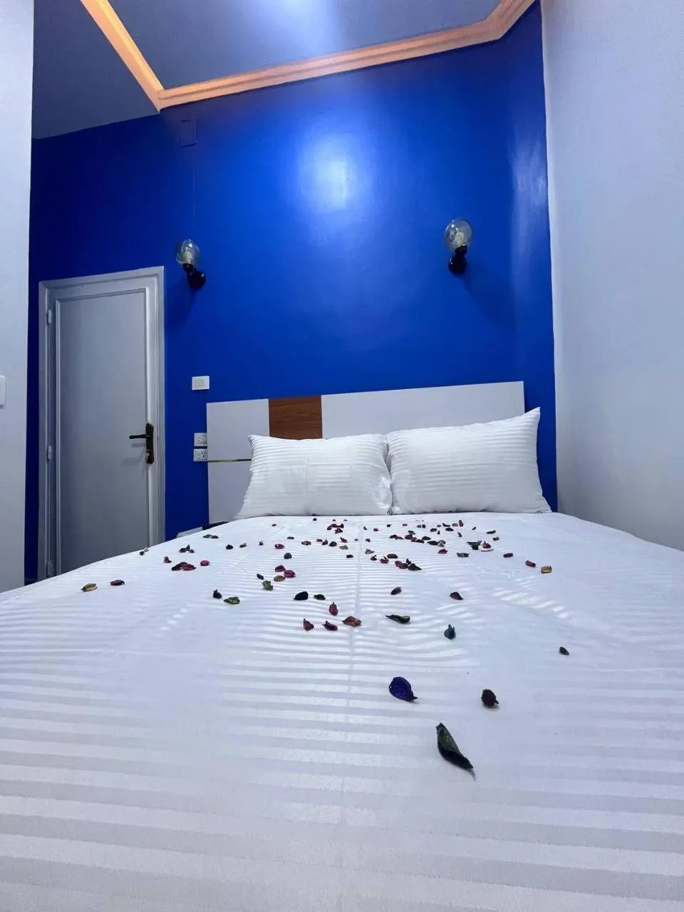 Bed in Future Hostel