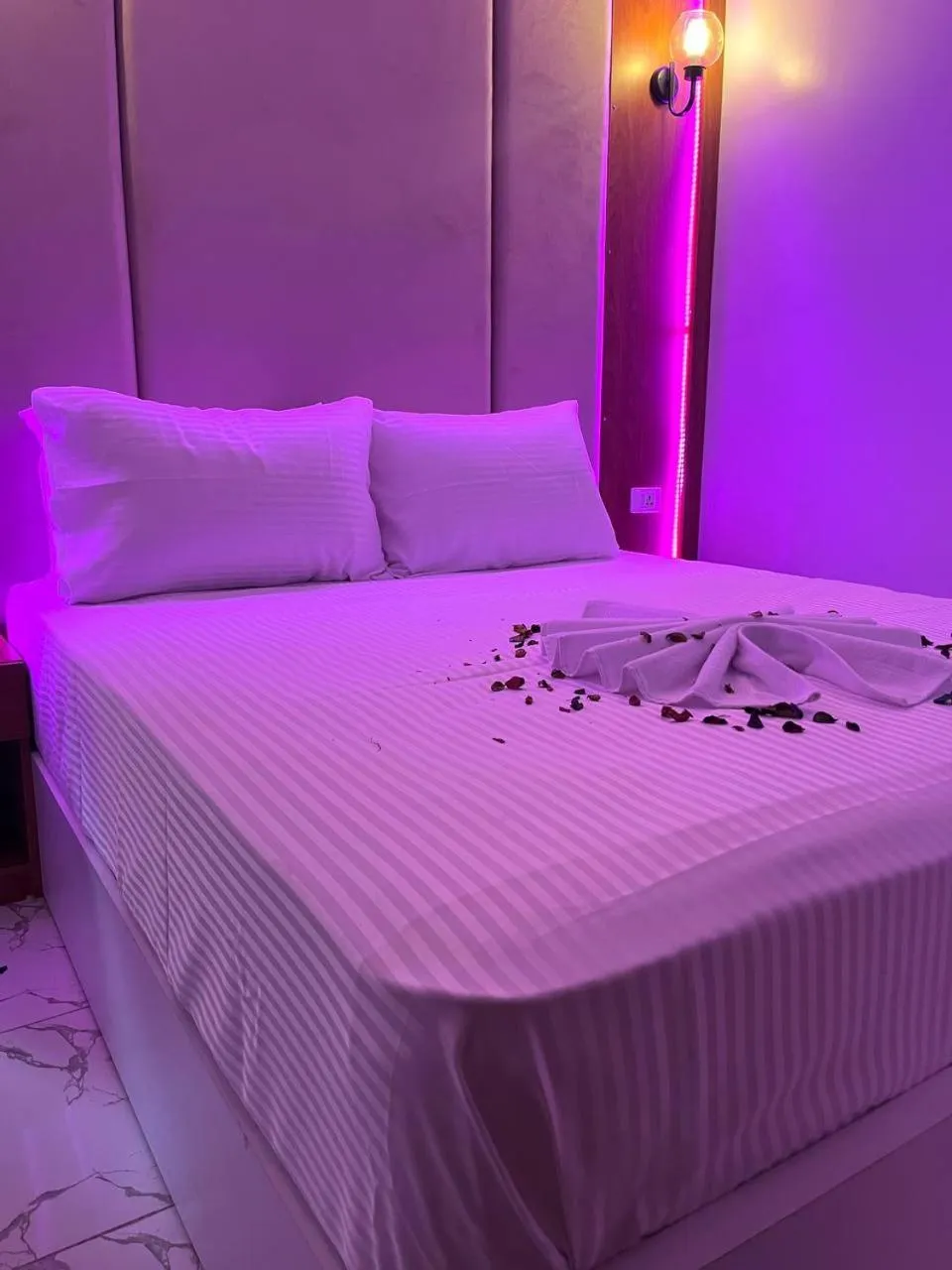 Bed in Future Hostel