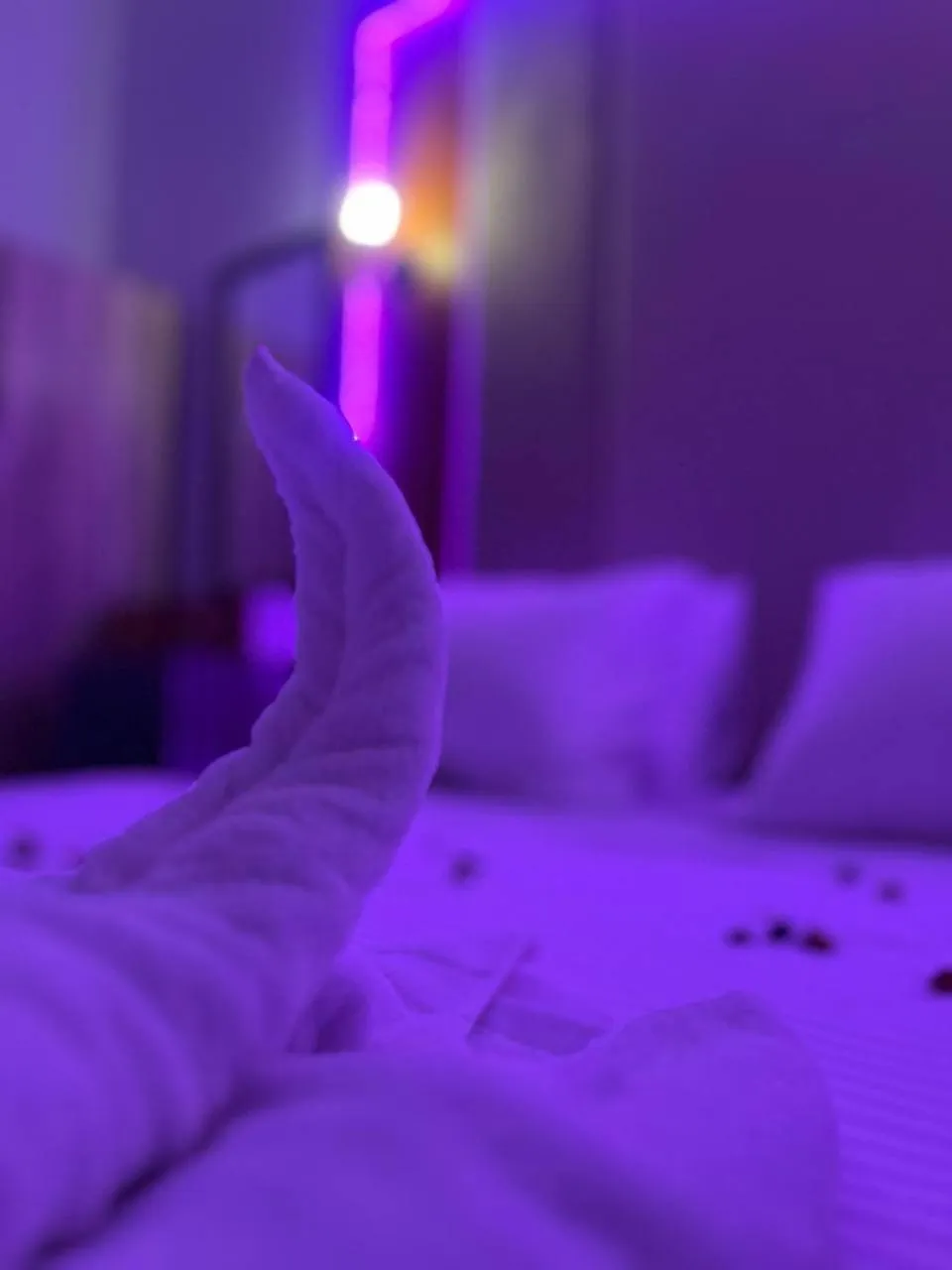 Bed in Future Hostel