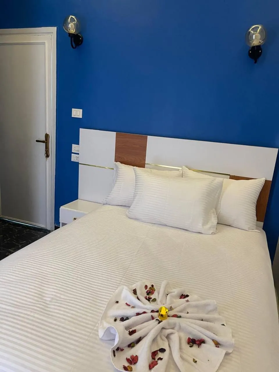 Bed in Future Hostel