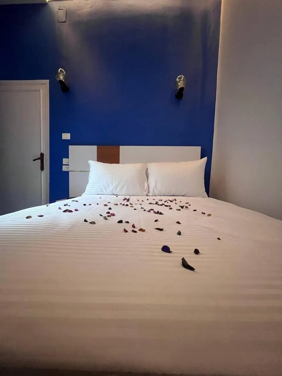 Bed in Future Hostel