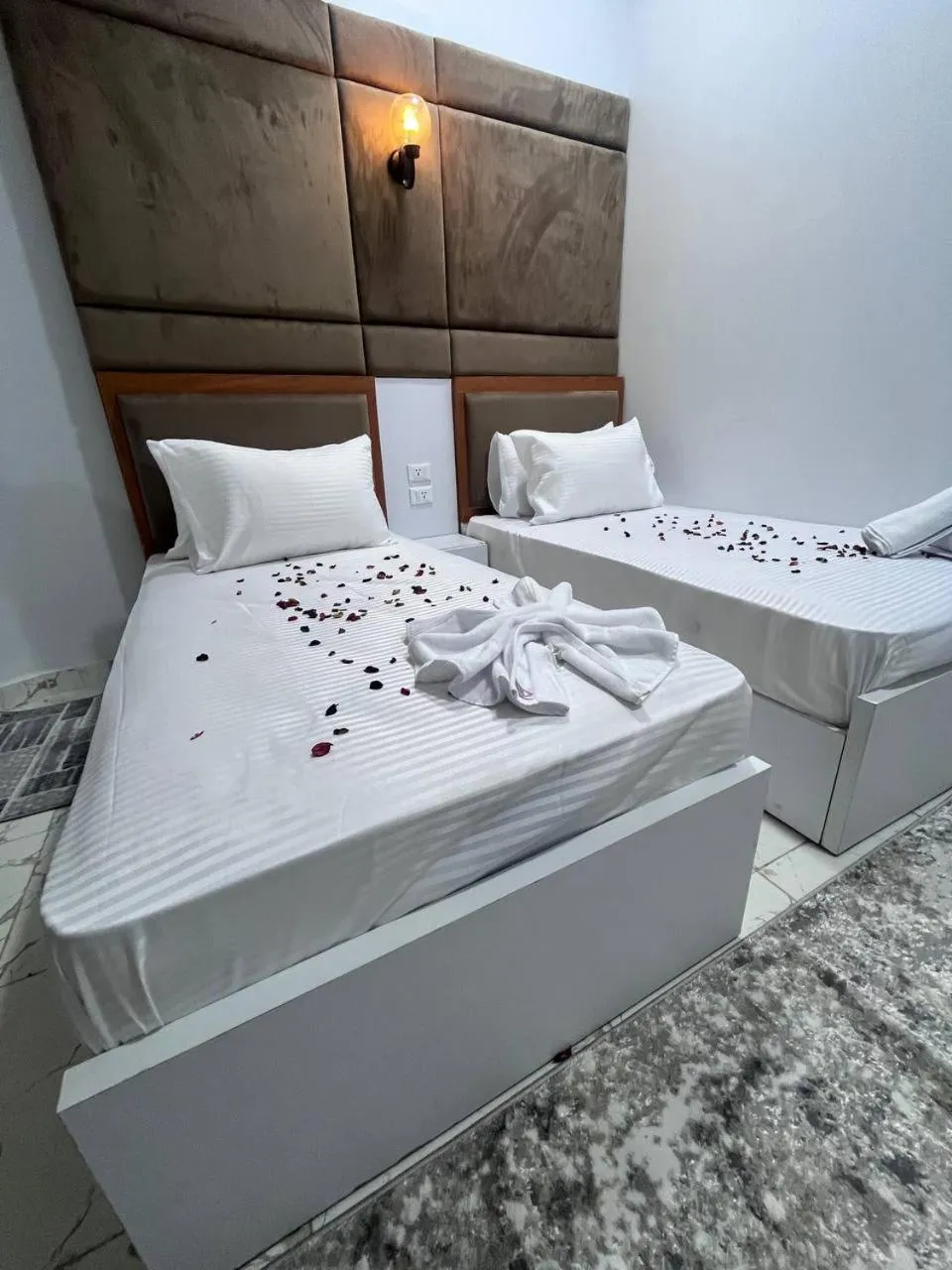 Bed in Future Hostel