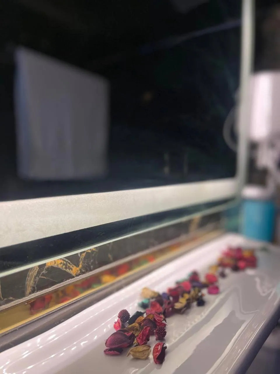 Kitchen or kitchenette in Future Hostel