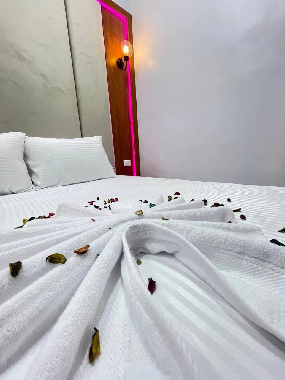 Bed in Future Hostel