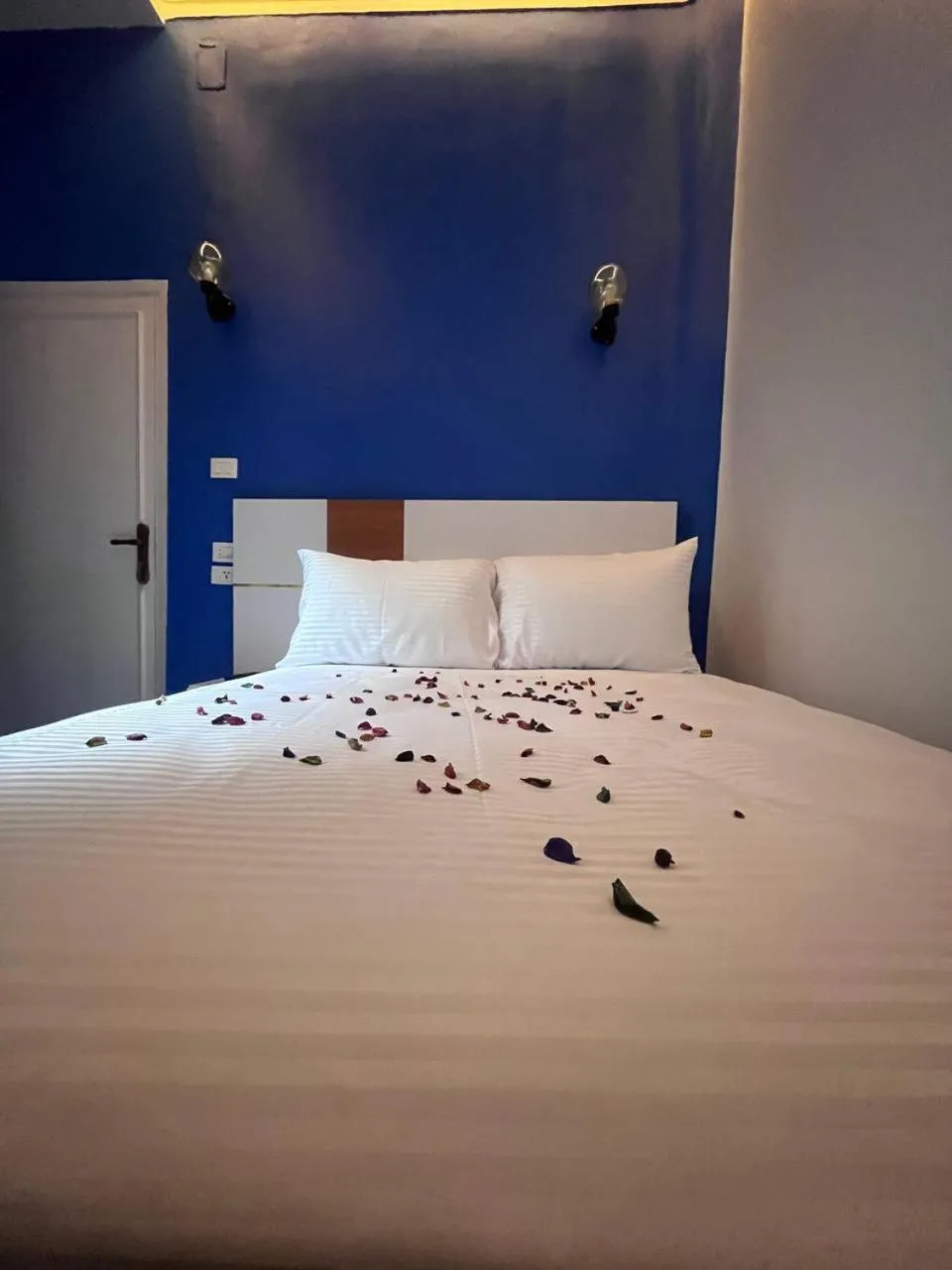 Bed in Future Hostel