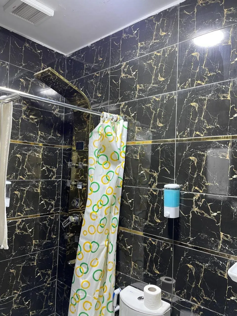 Toilet in Future Hostel