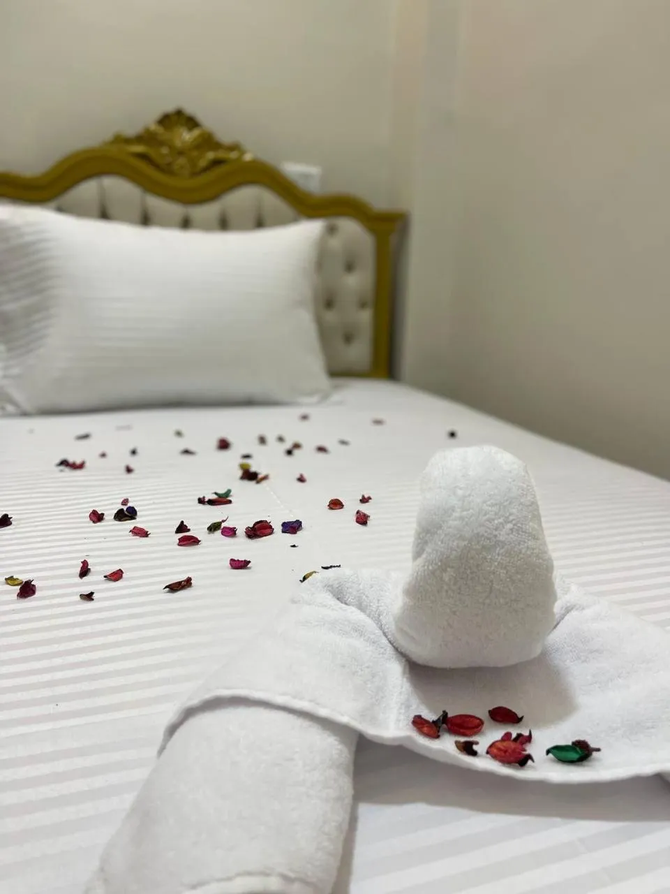 Bed in Future Hostel