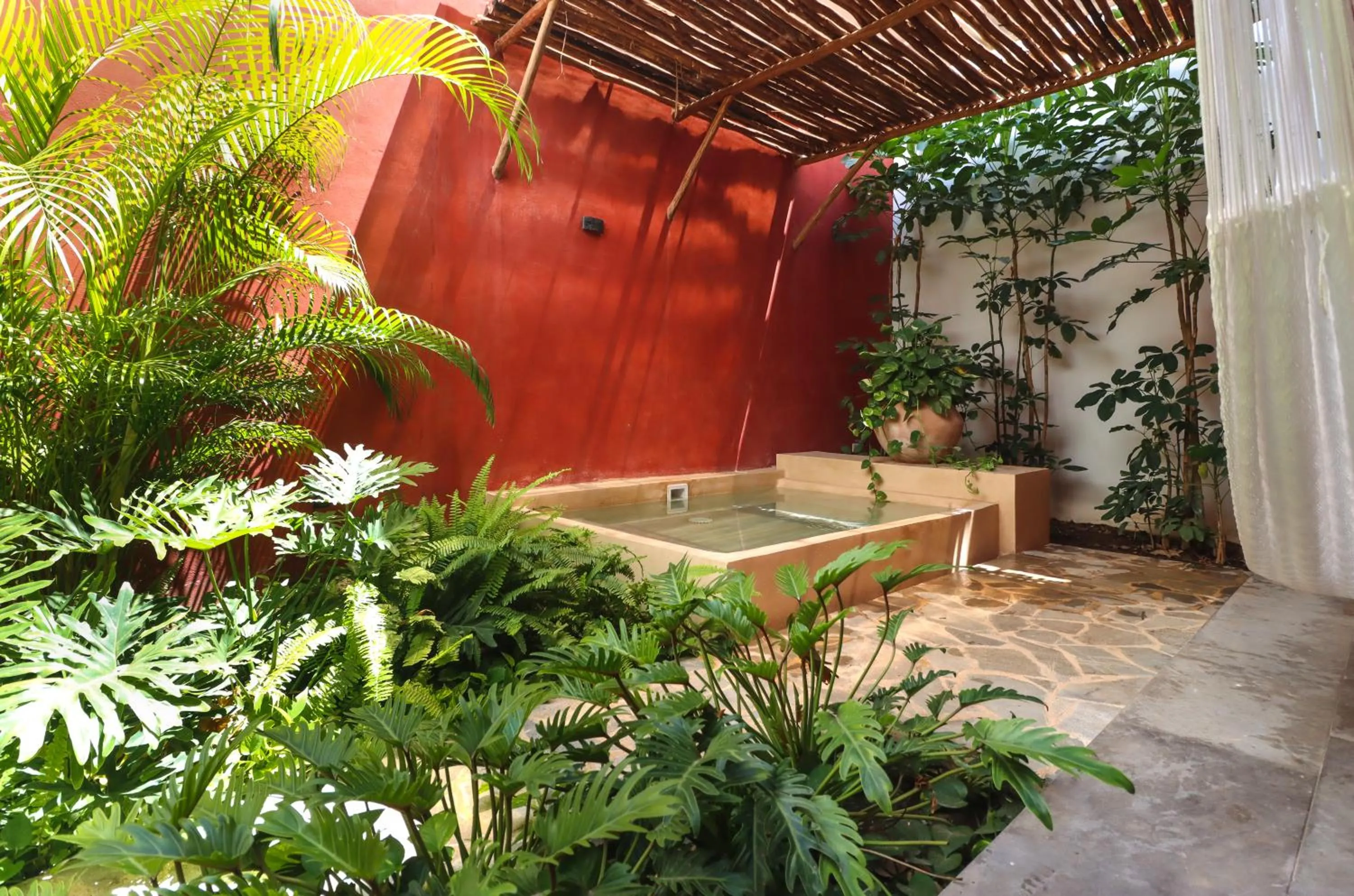 Swimming pool in Casa Loreto 1893