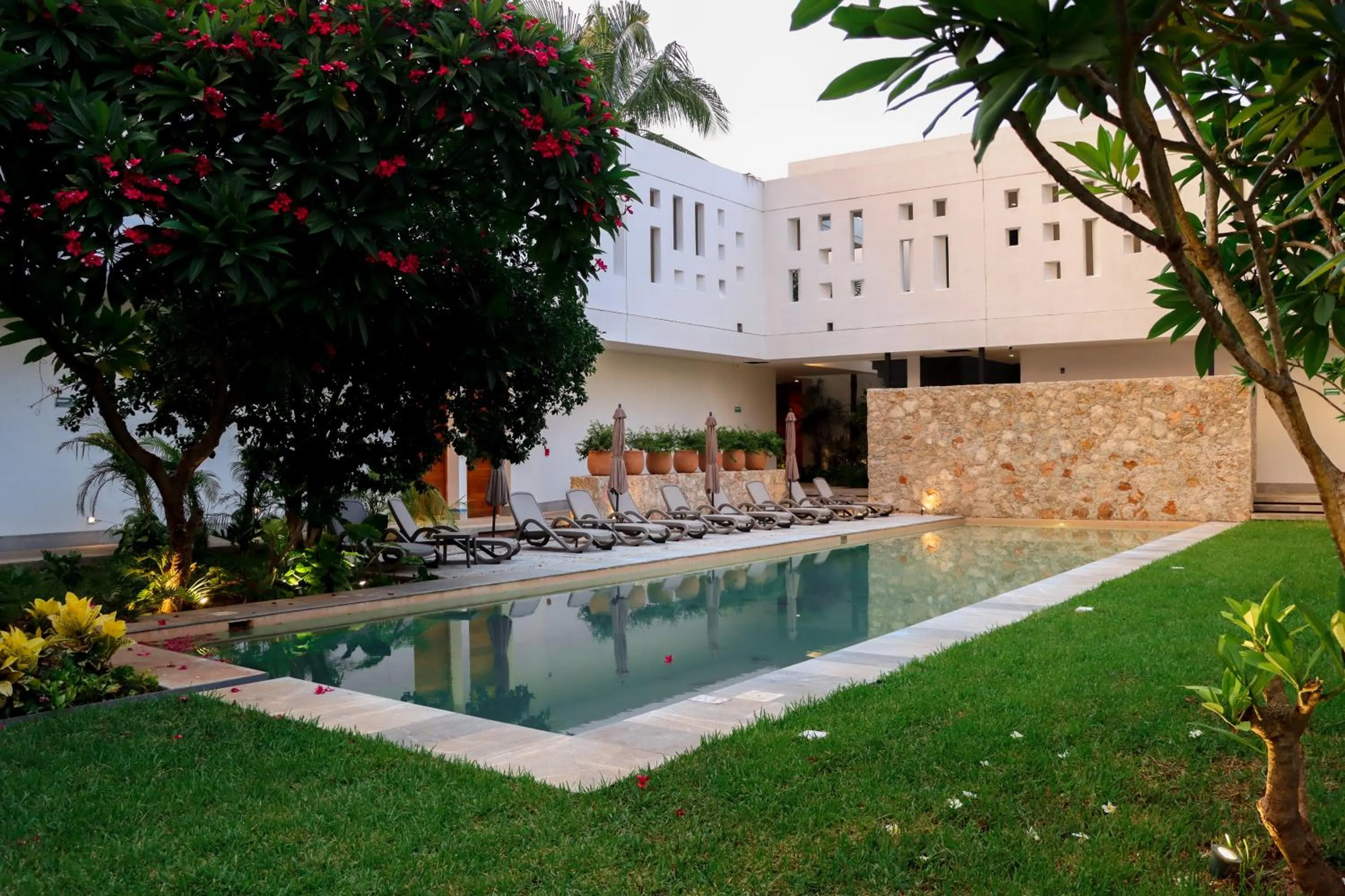 Garden view in Casa Loreto 1893