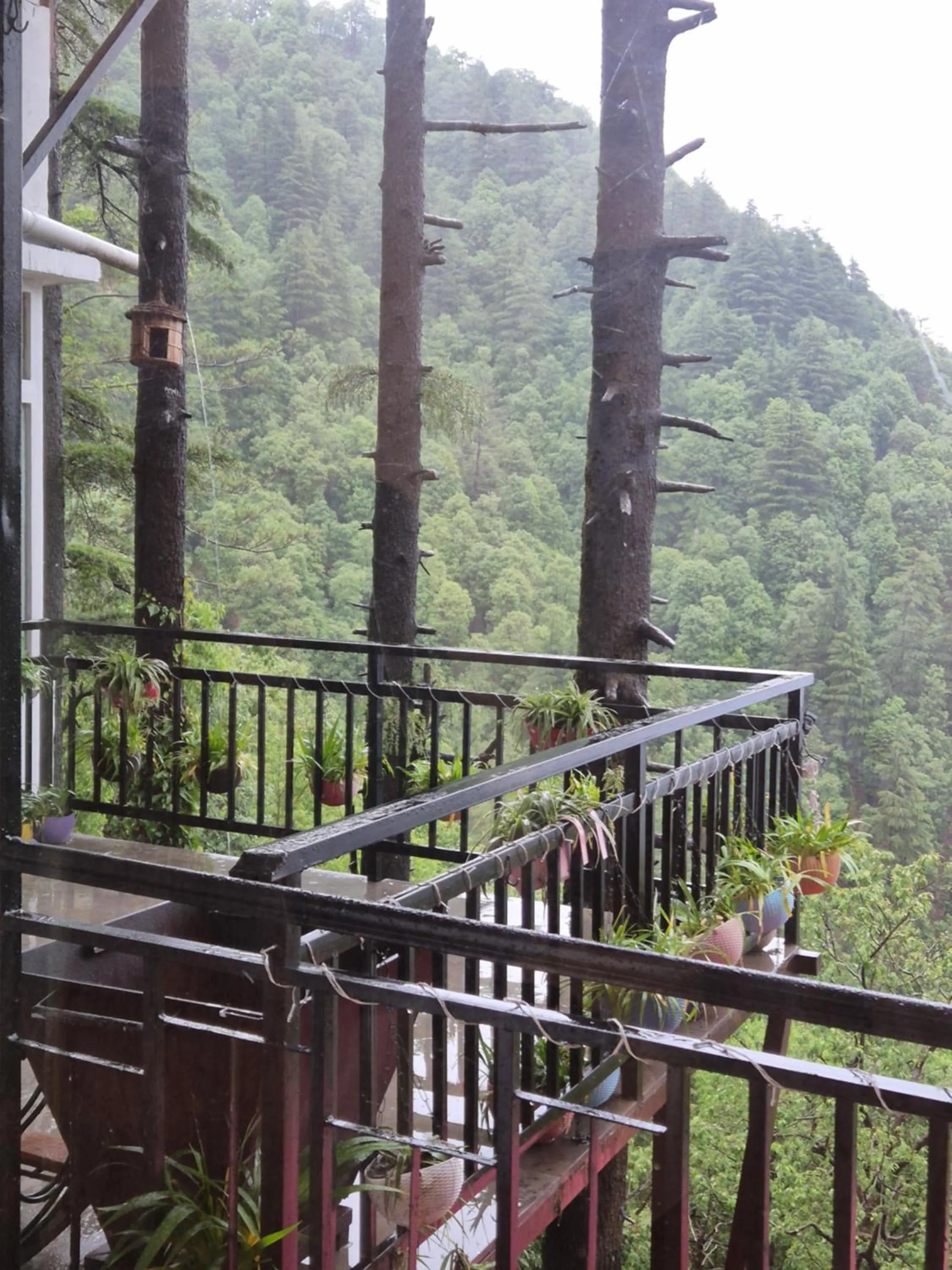 The Coverpage Boutique Stays Mussoorie