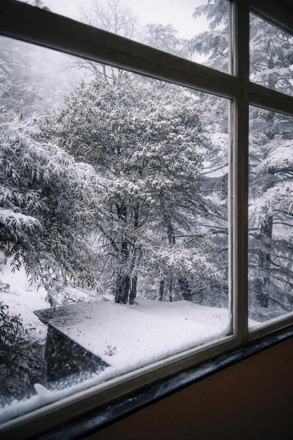 The Coverpage Boutique Stays Mussoorie