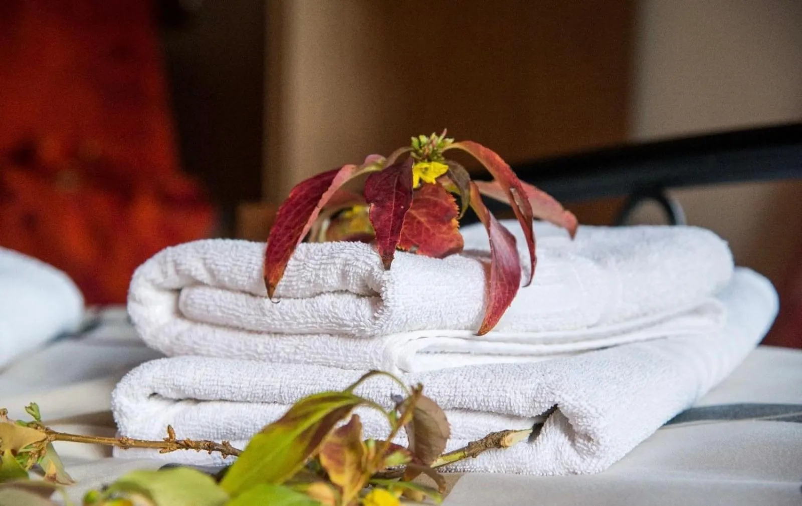 towels in Dione by Open City