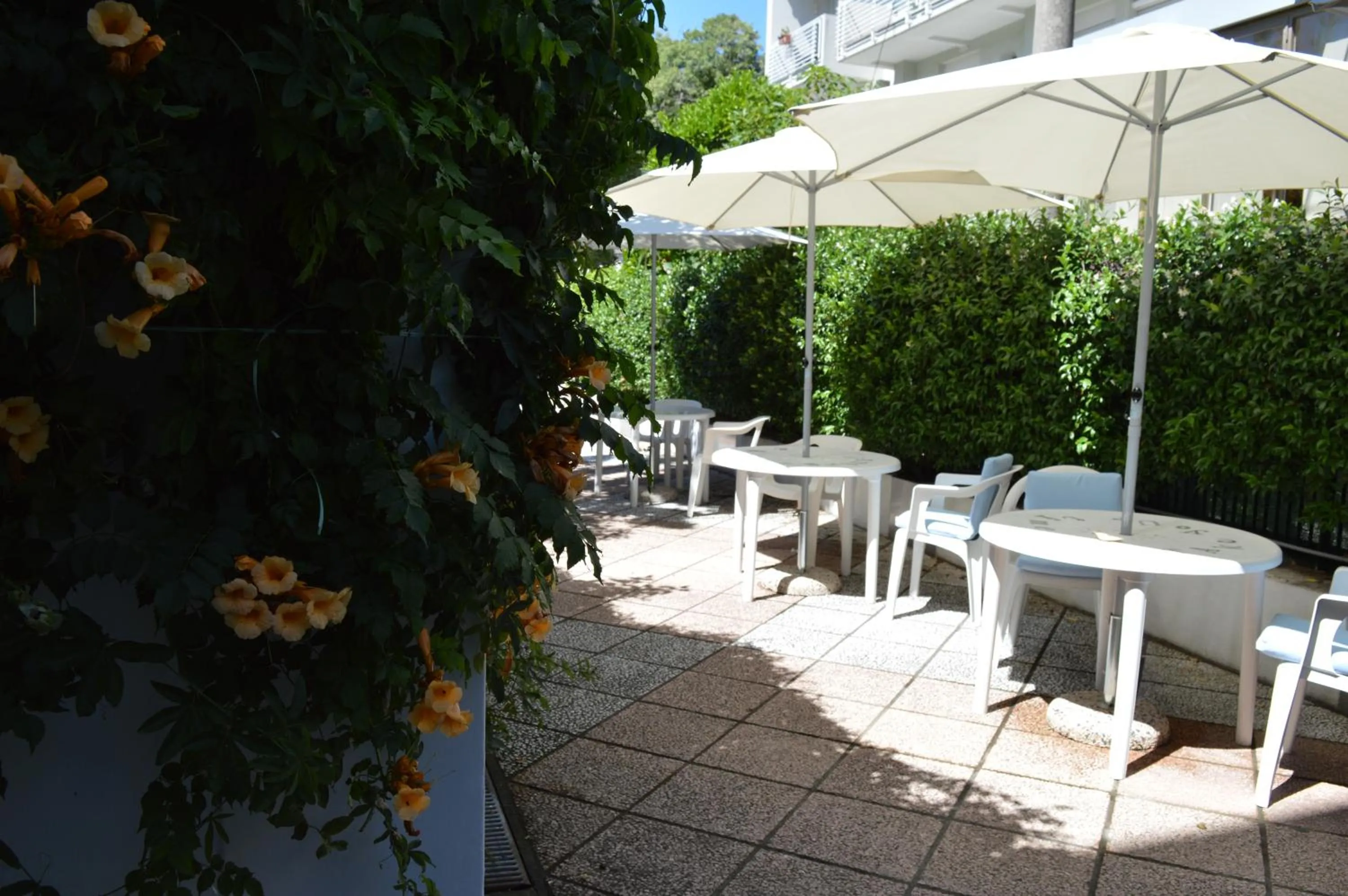 Garden in Hotel Merano