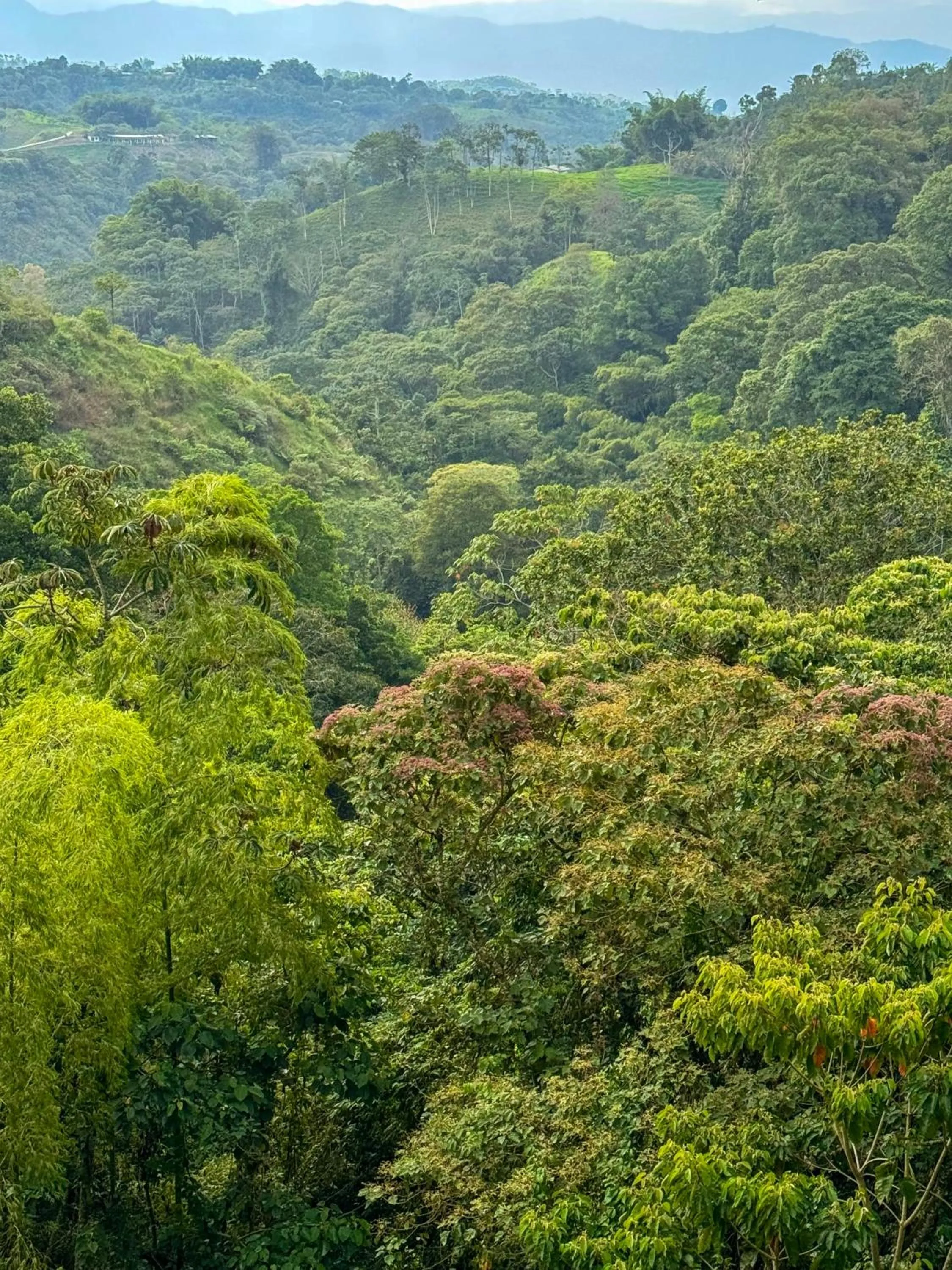 Natural landscape in Tukki Ecolodge Hotel