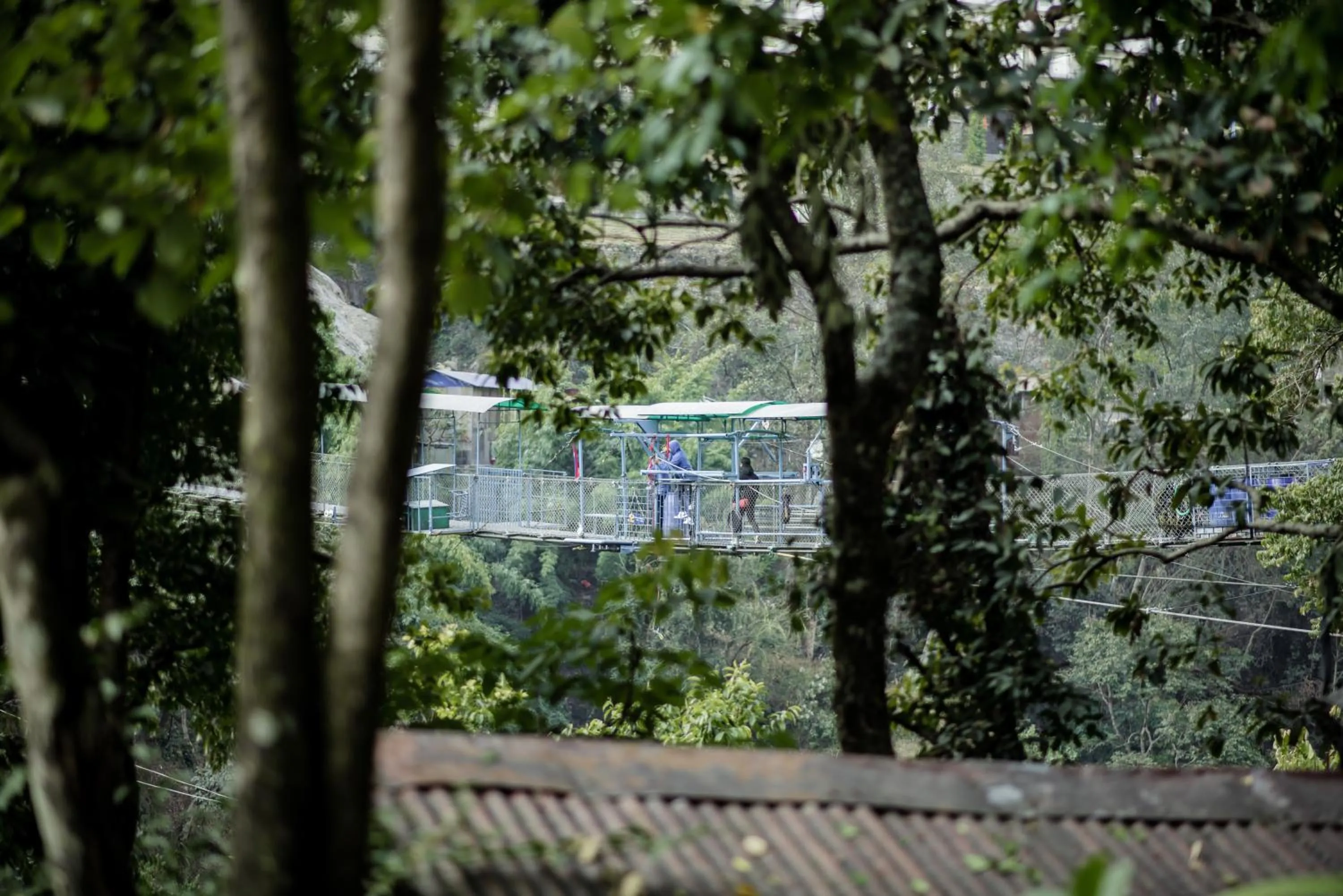 Spring in The Last Resort - Safari Tent