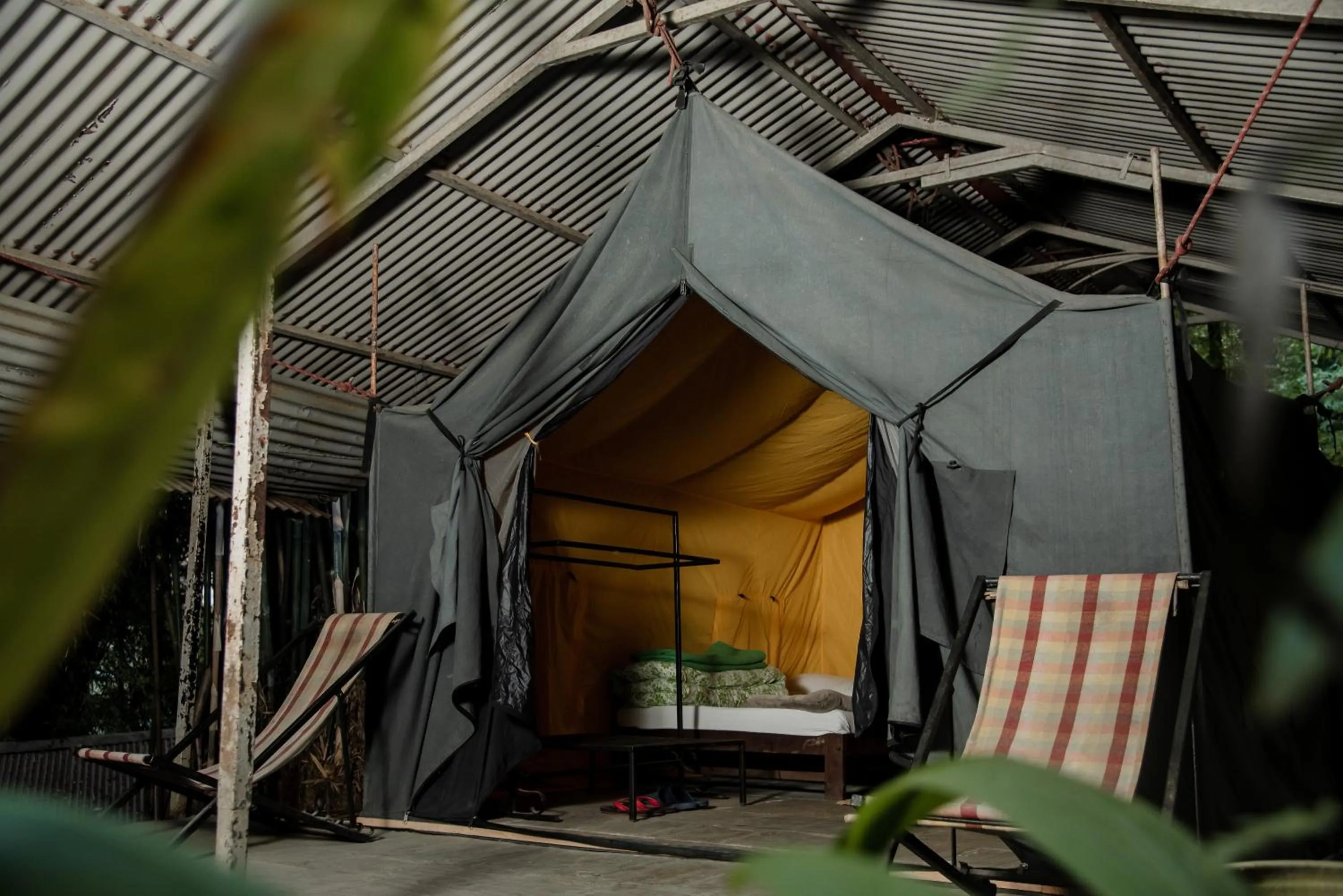 Garden view in The Last Resort - Safari Tent