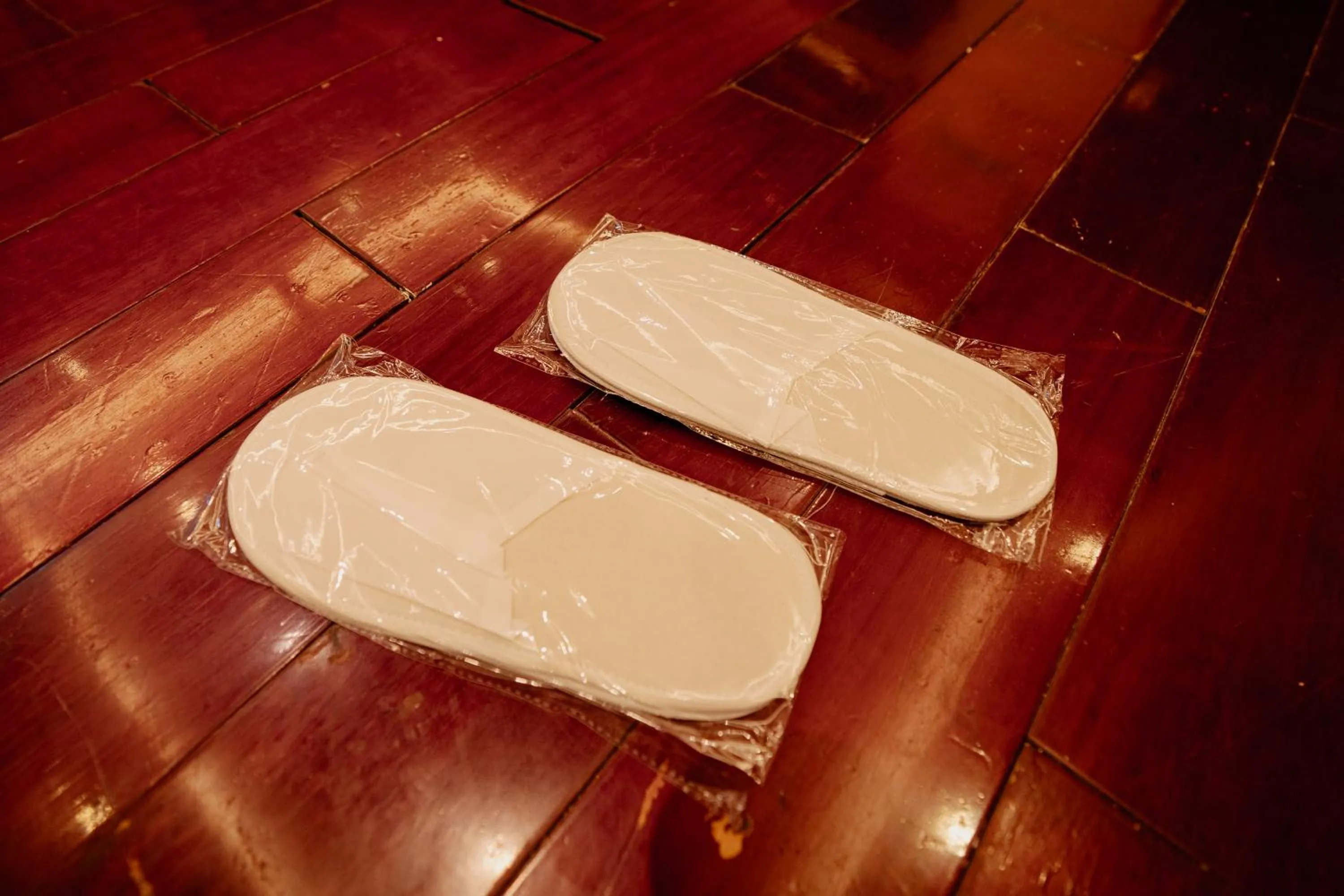 Guests in Royal Residence Dhaka